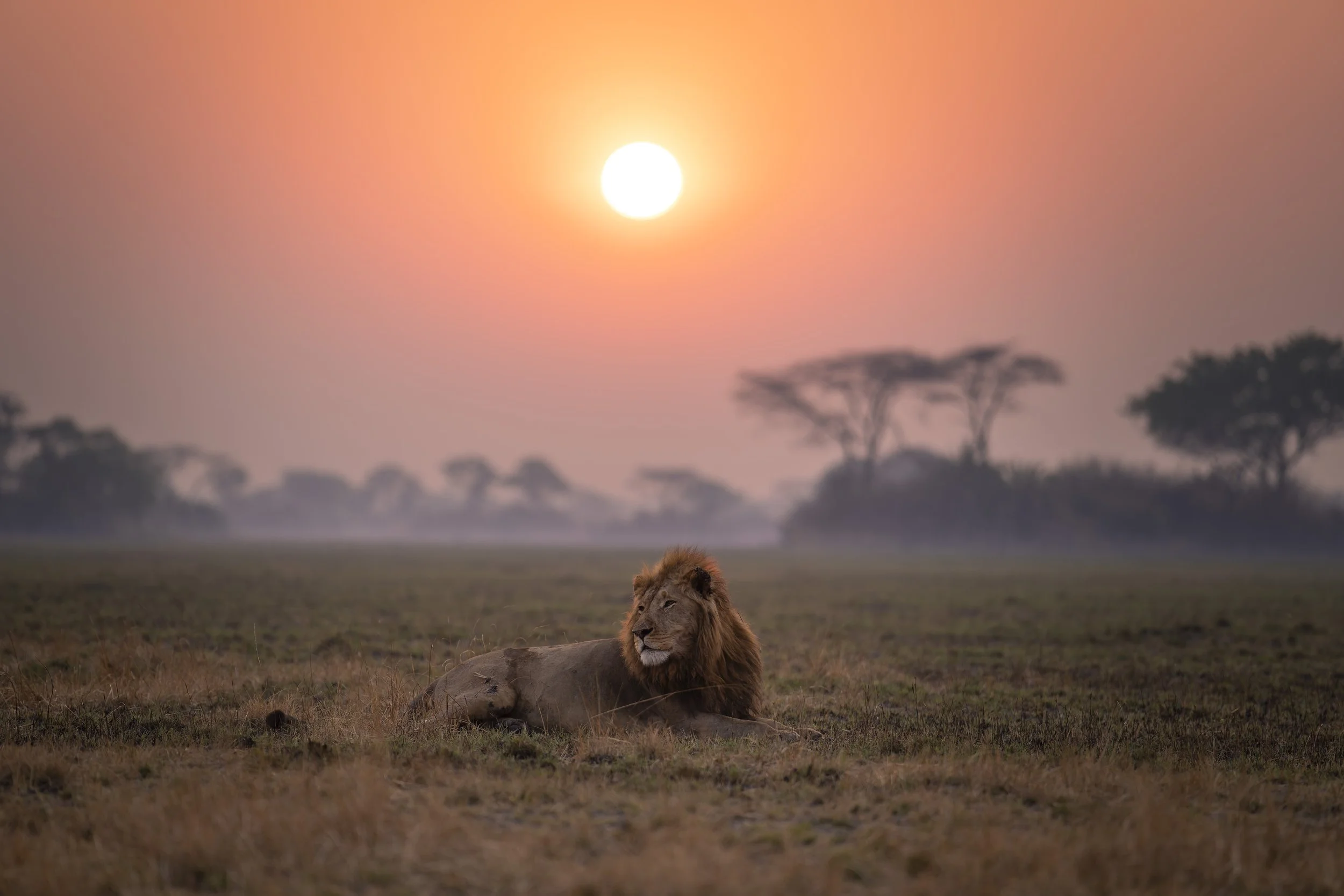 _A1_0854-20250917-DxO_DeepPRIME XD2s.jpg