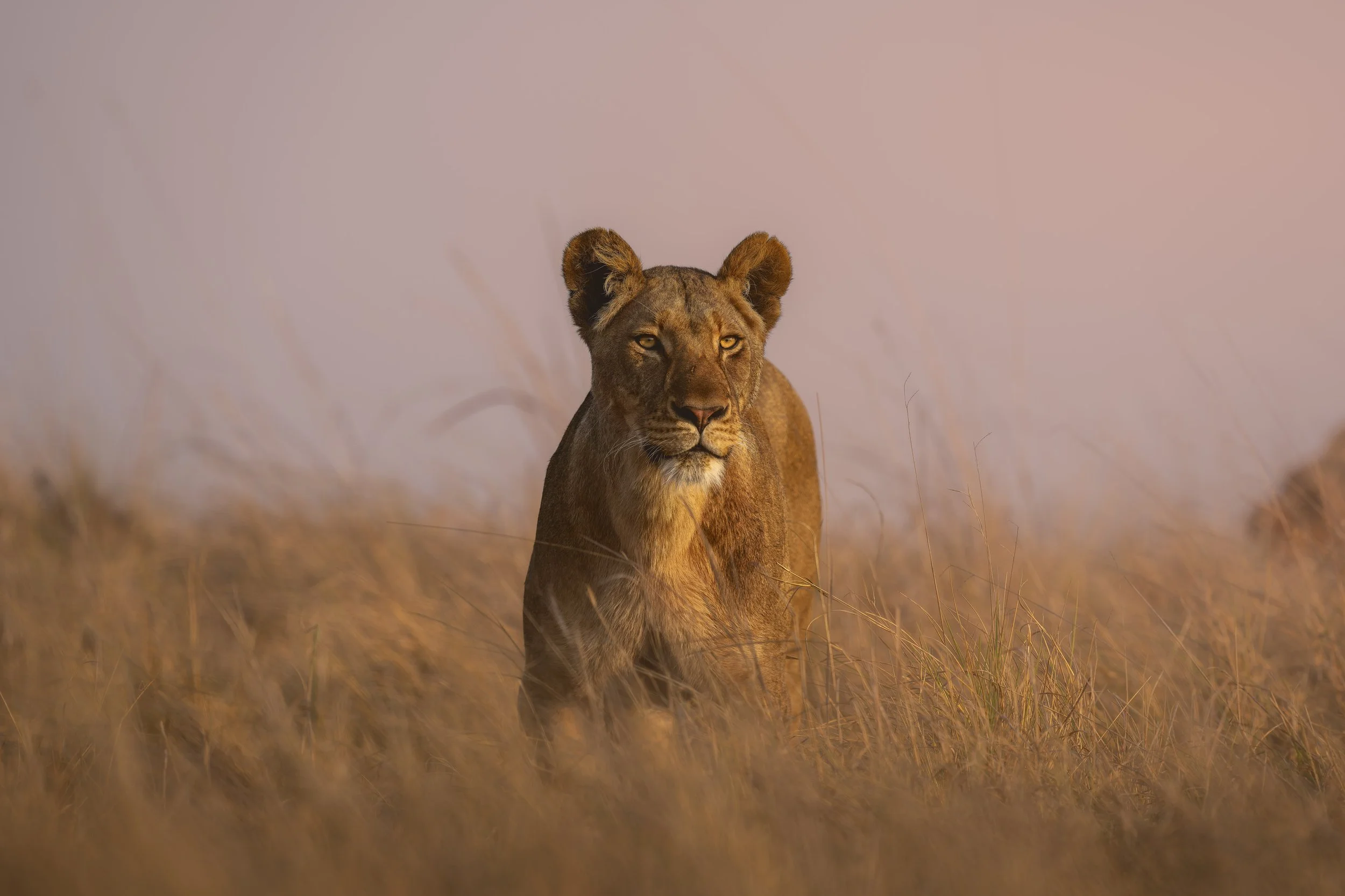 _AII9984-20250918-DxO_DeepPRIME XD2s.jpg