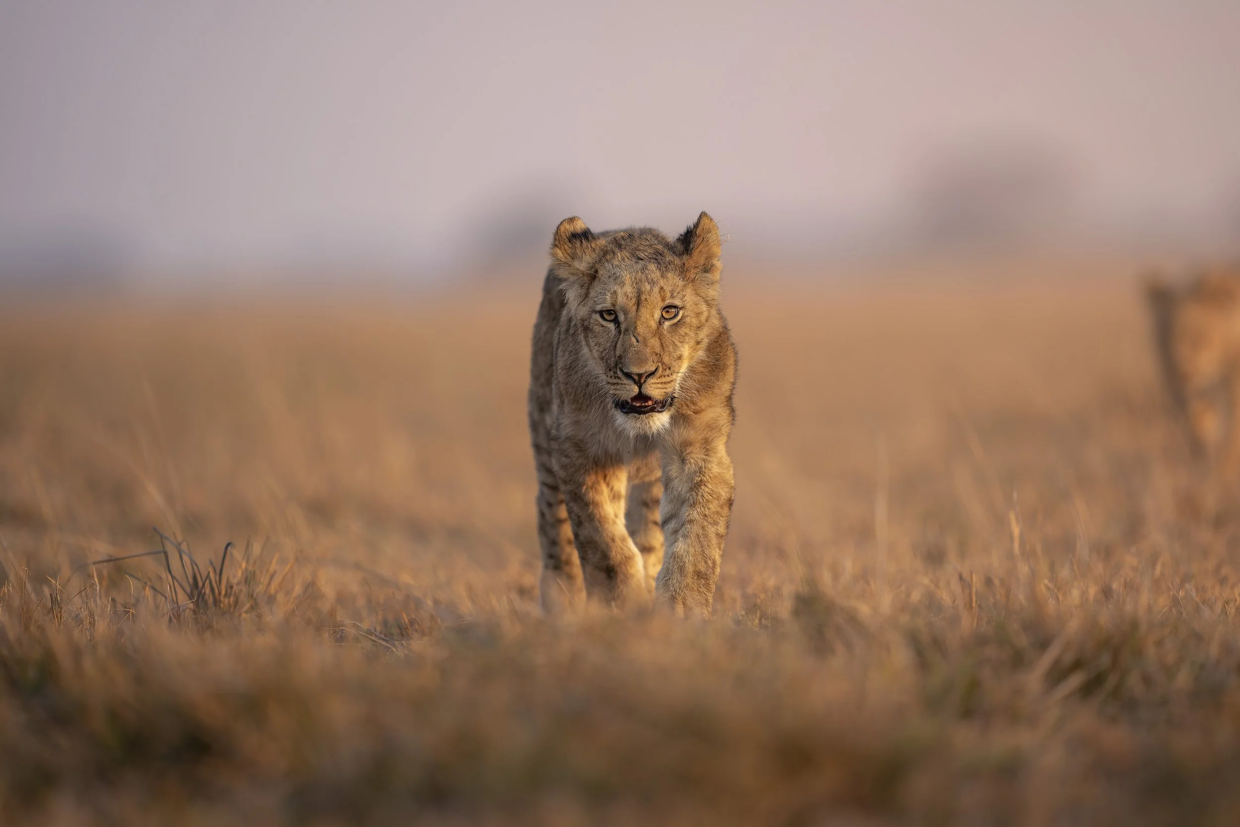 _AII9591-20250918-DxO_DeepPRIME XD2s.jpg