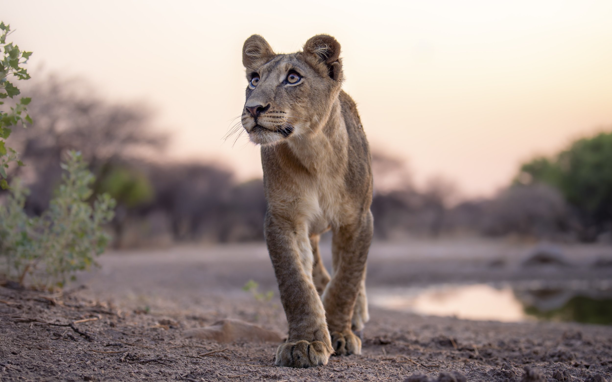 7RV02969-20231123-DxO_DeepPRIME XD2s-Bearbeitet.jpg