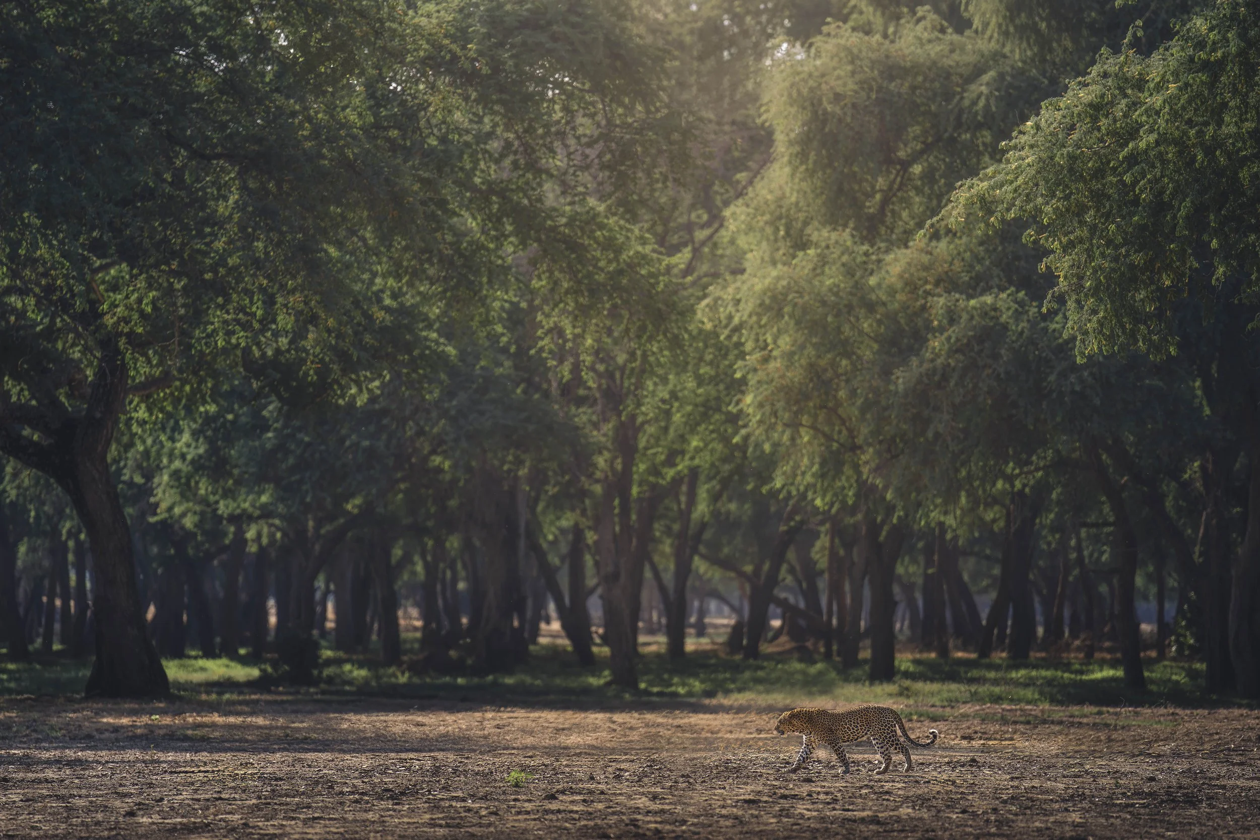 _A1_7661-20250628-DxO_DeepPRIME XD2s-Bearbeitet-Bearbeitet.jpg