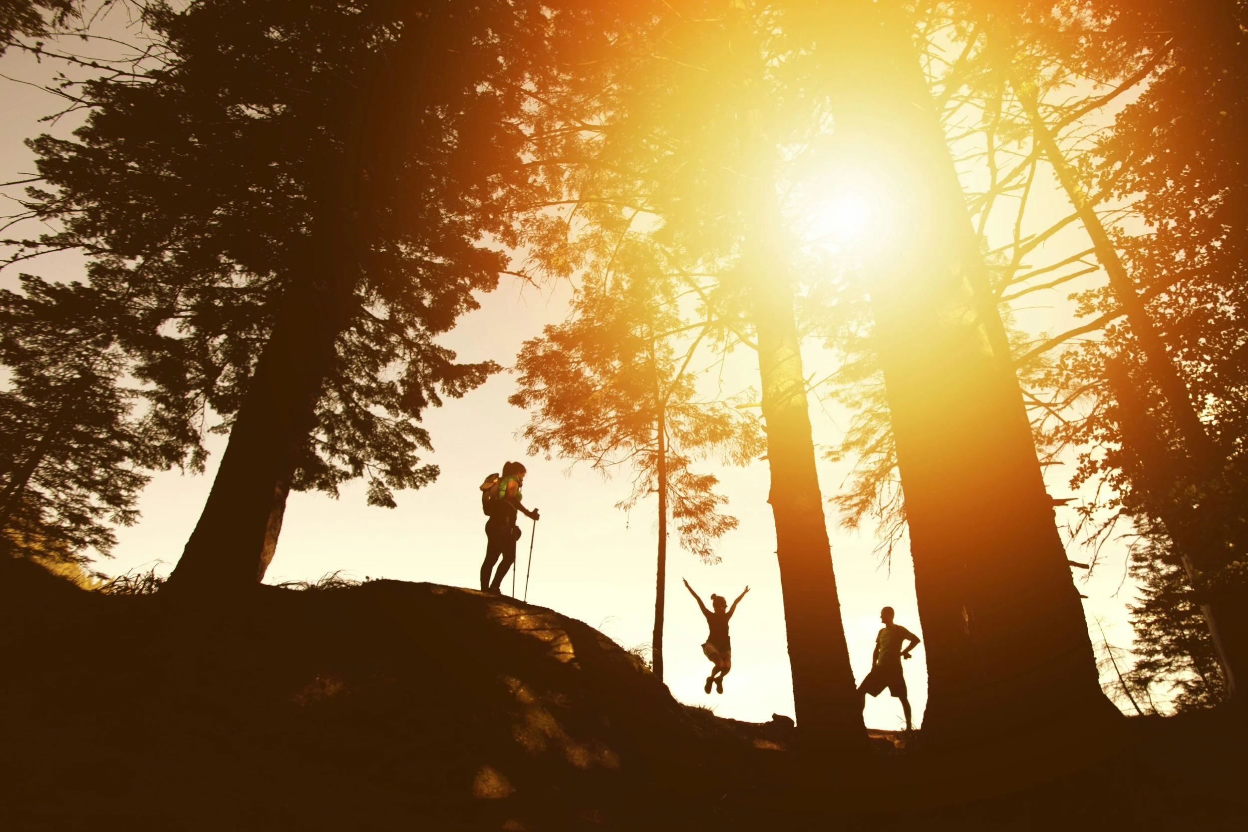 Three people hiking in a forest with tall trees during sunset, one of them jumping with arms raised.