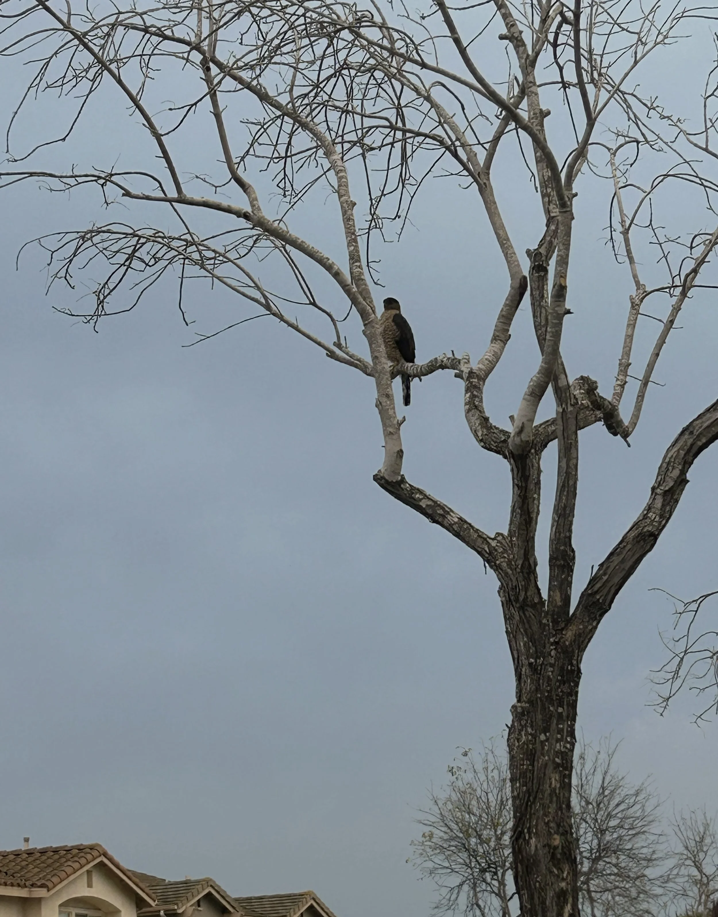 February: a good day