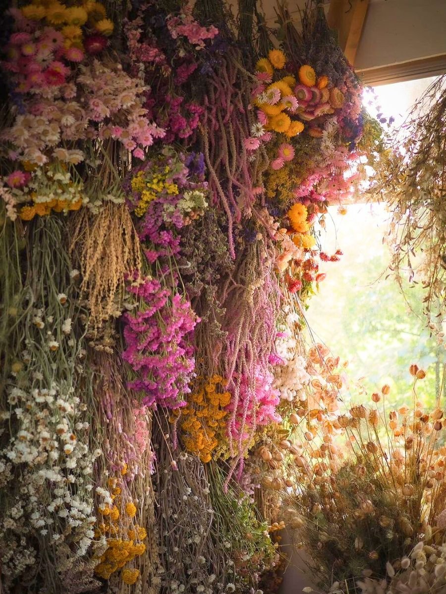 Dried-flower-paradise-by-Bex-Partridge.jpg