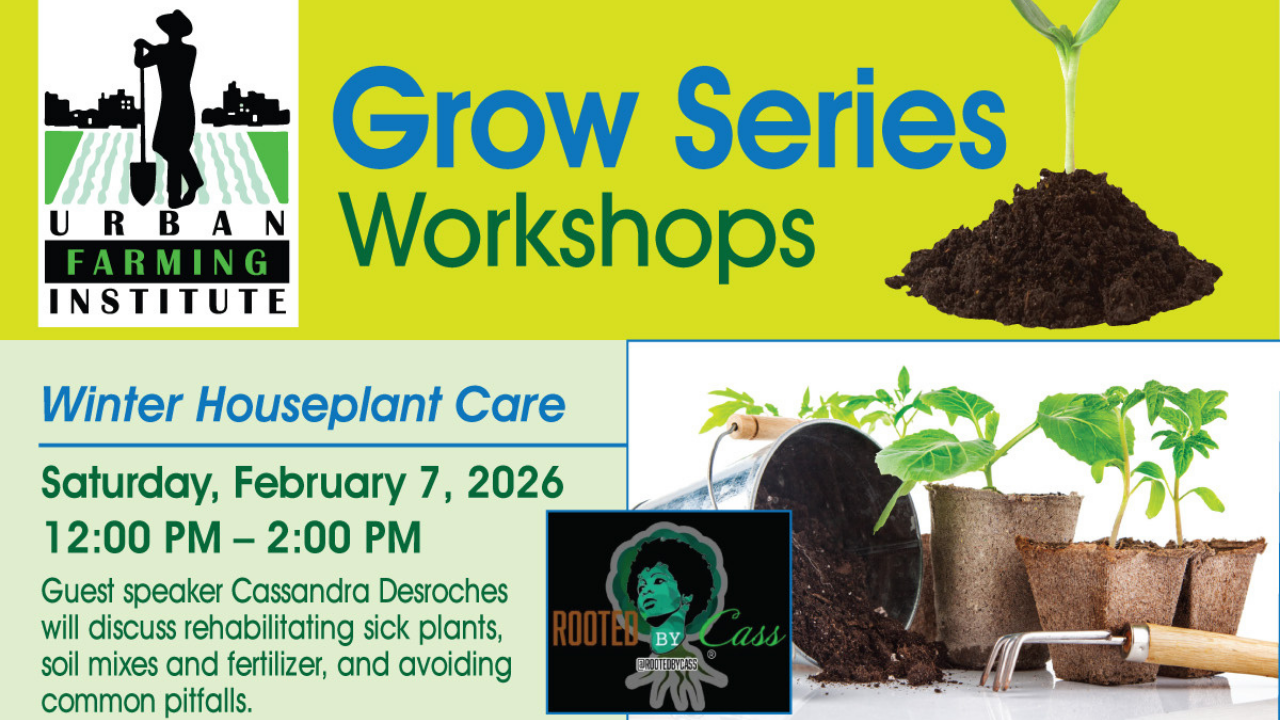 Grow Series