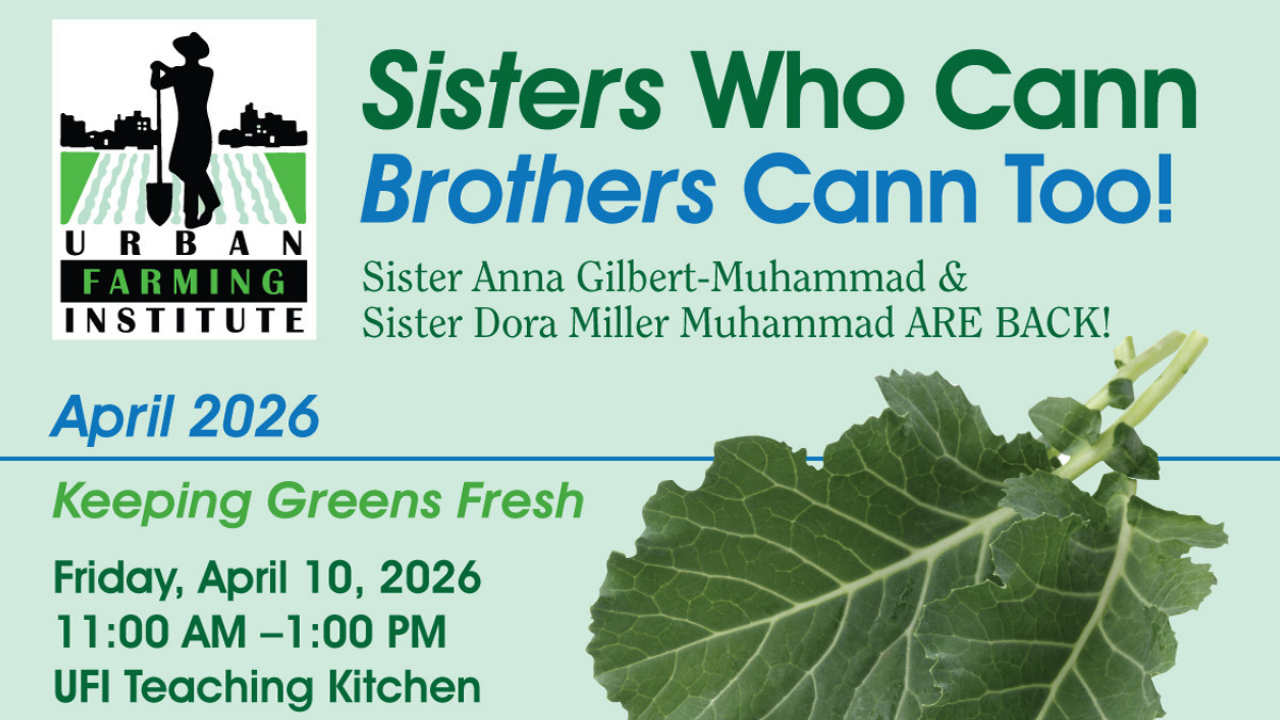 Dehydration Workshop - Sisters Who Cann