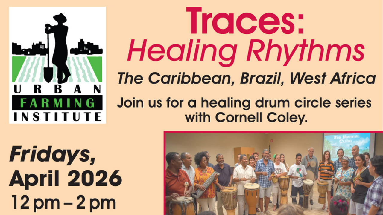 Traces: Healing Rhythms Drum Circle