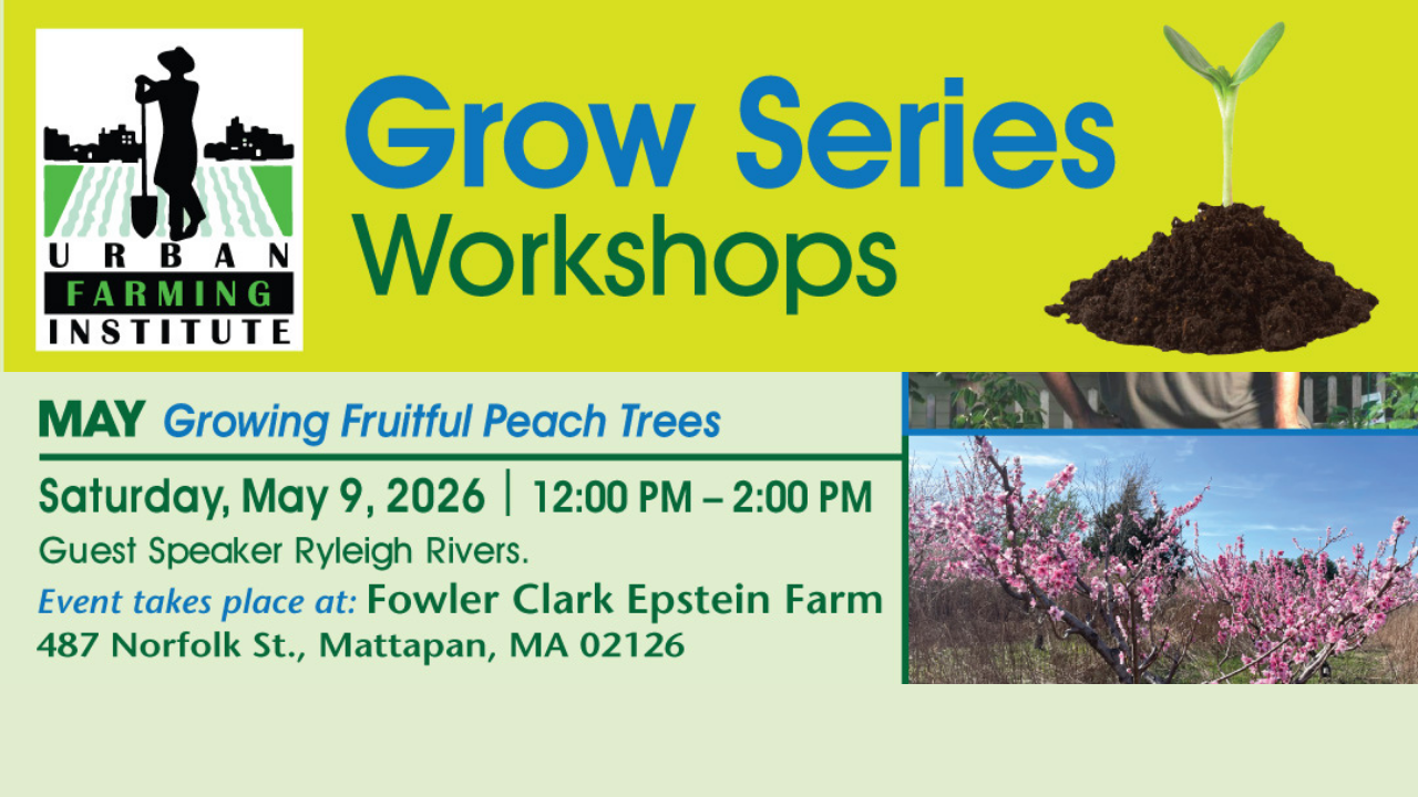 Grow Series: Fruit Trees