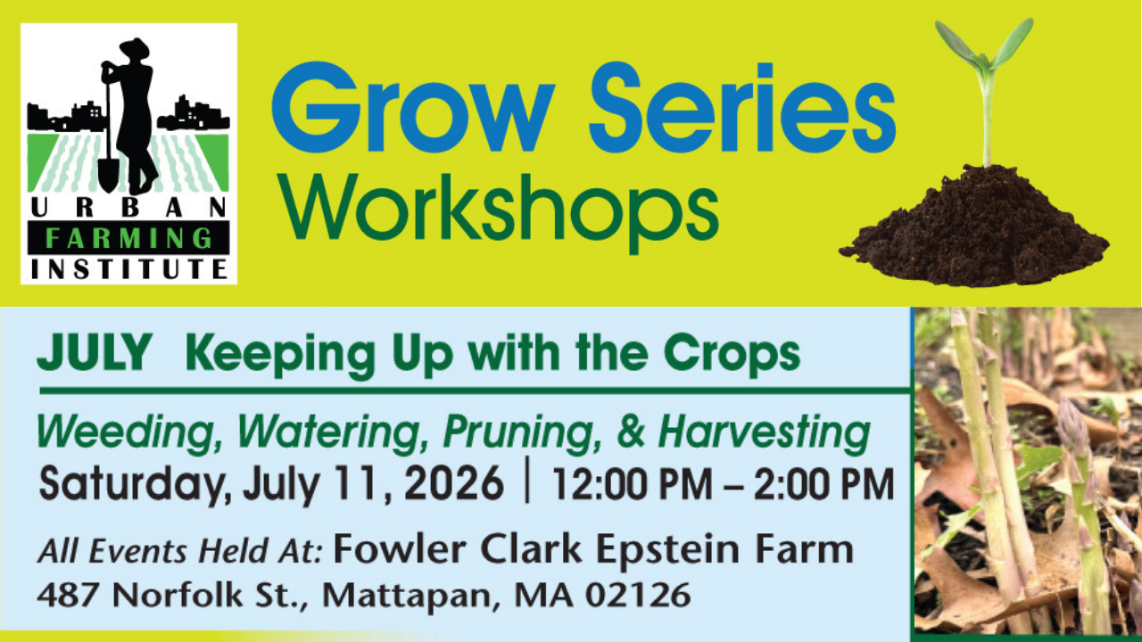 Grow Series: Maintenance