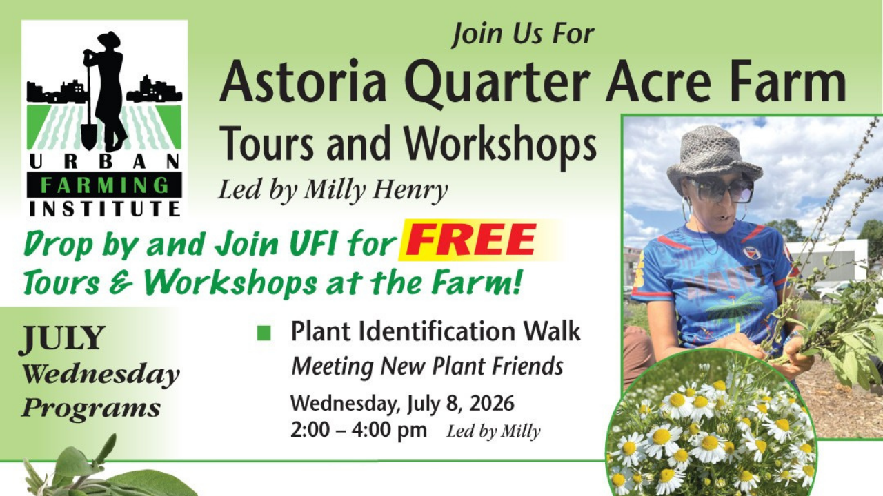 Astoria Workshop: Herbal Infusions