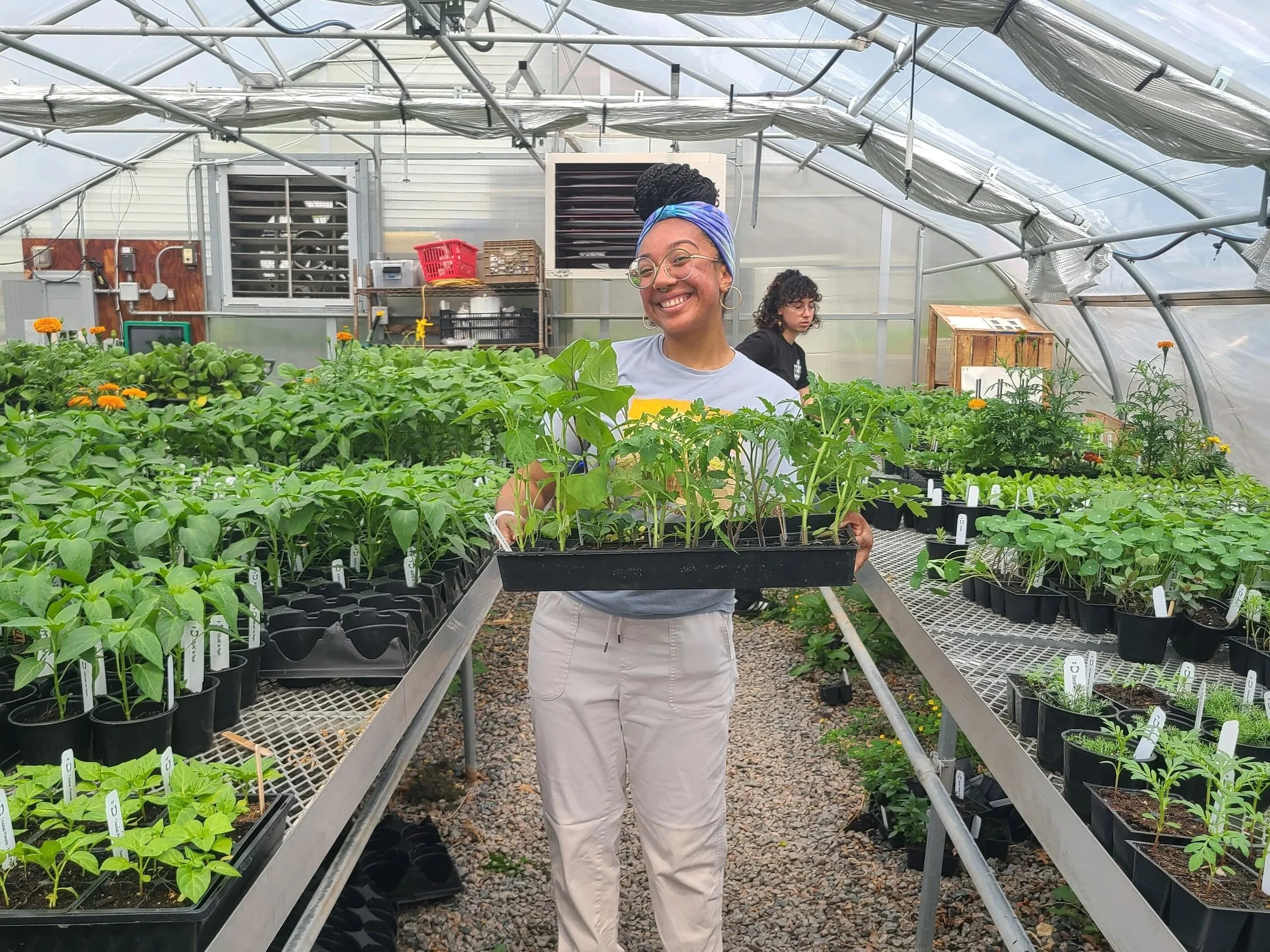 Photo of Amber Valbrun holding a tray of seedlings at the UFI greenhouse.