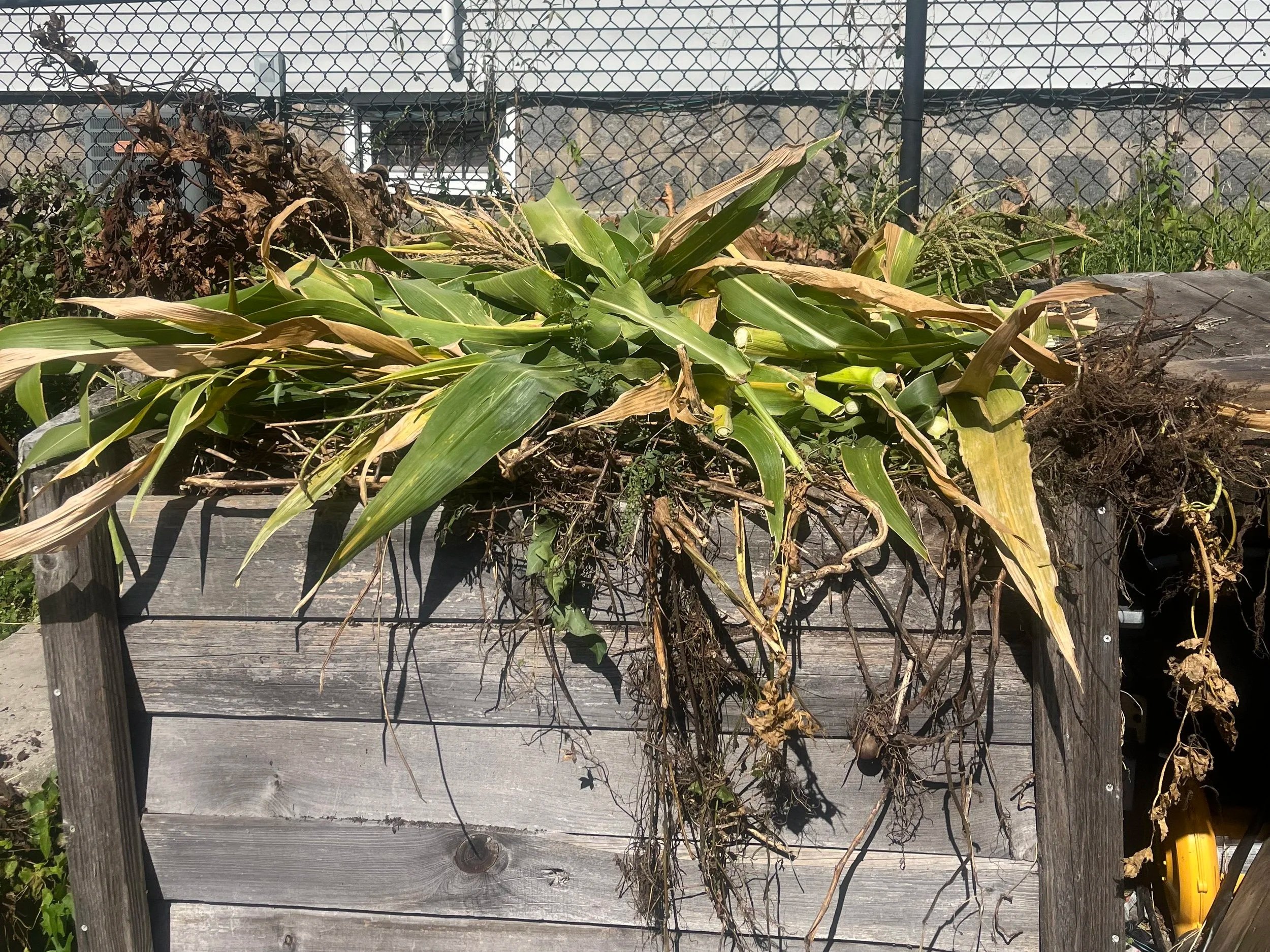 The Crop Report: October 2026