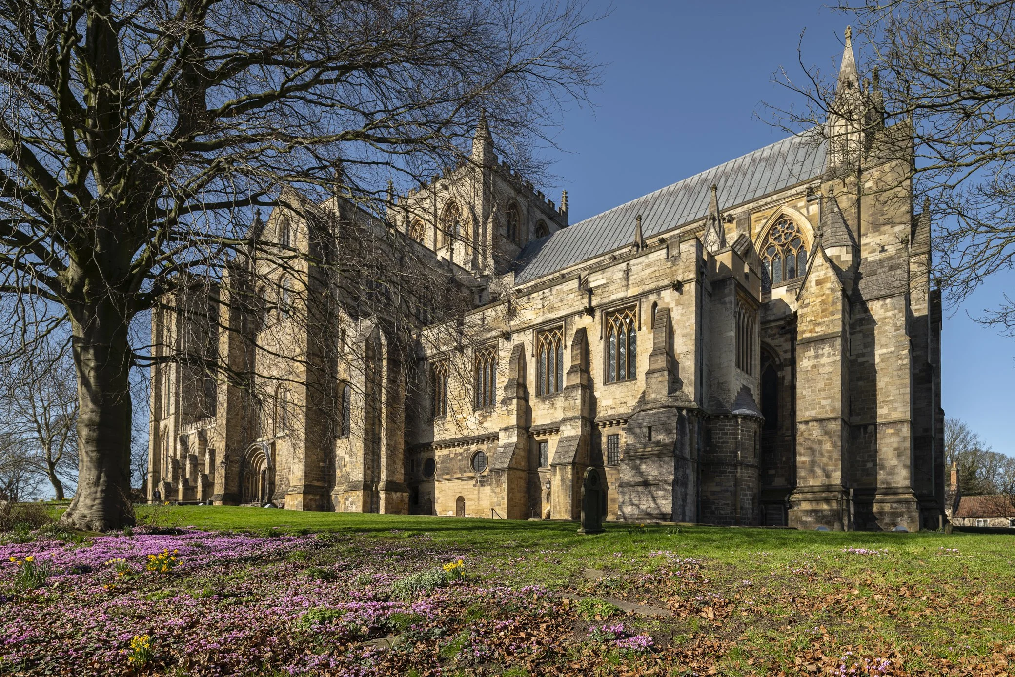 The Cathedral Seen From the South.