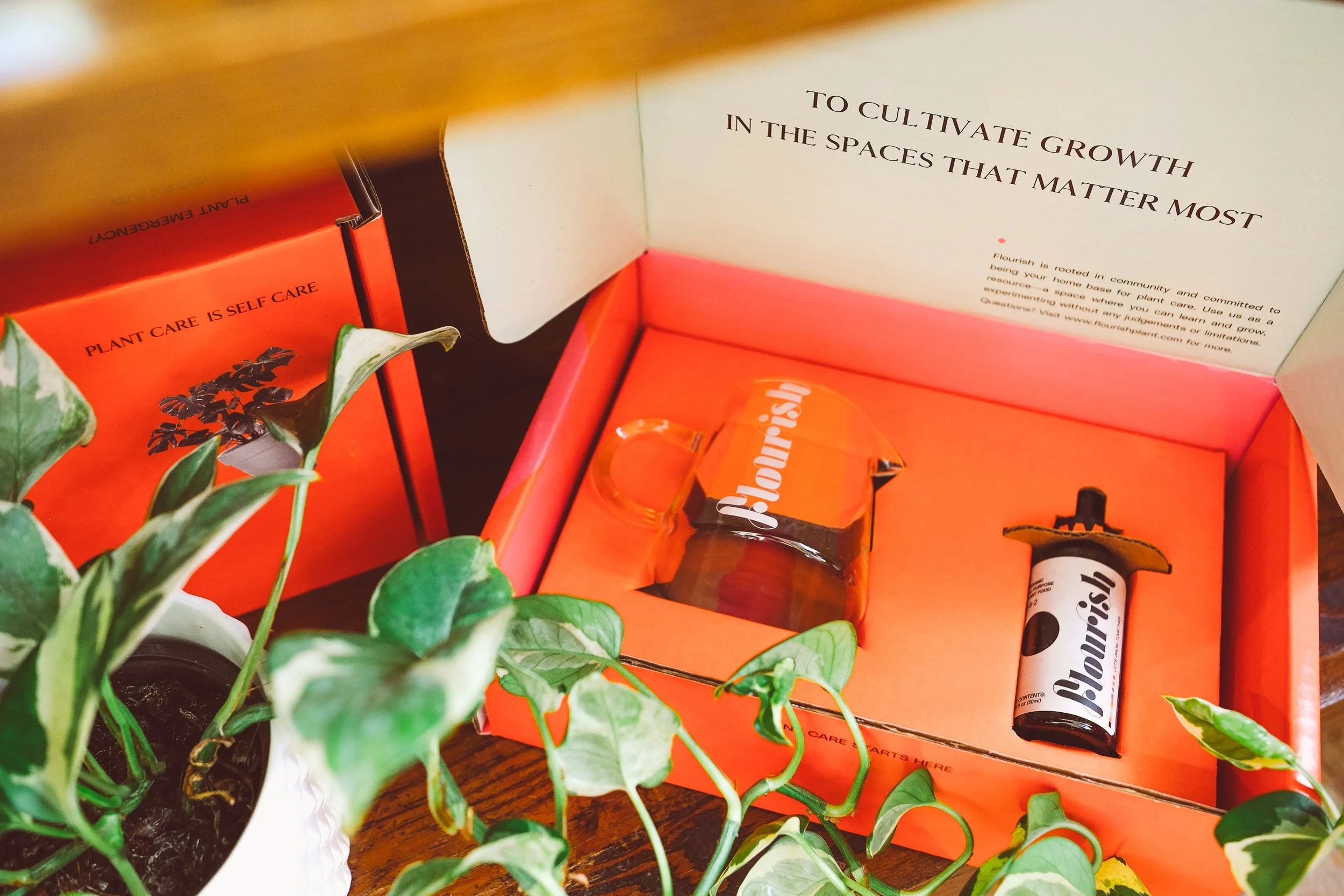 essencecreativeagency_contentcreation_creativedirection_thewildhareatx_-07.jpg