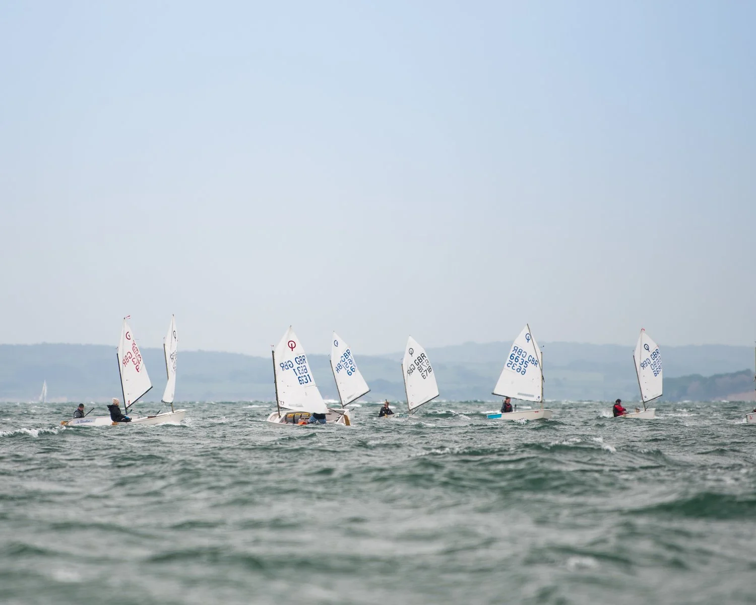 26020510 Optimist_DSC9534.jpg