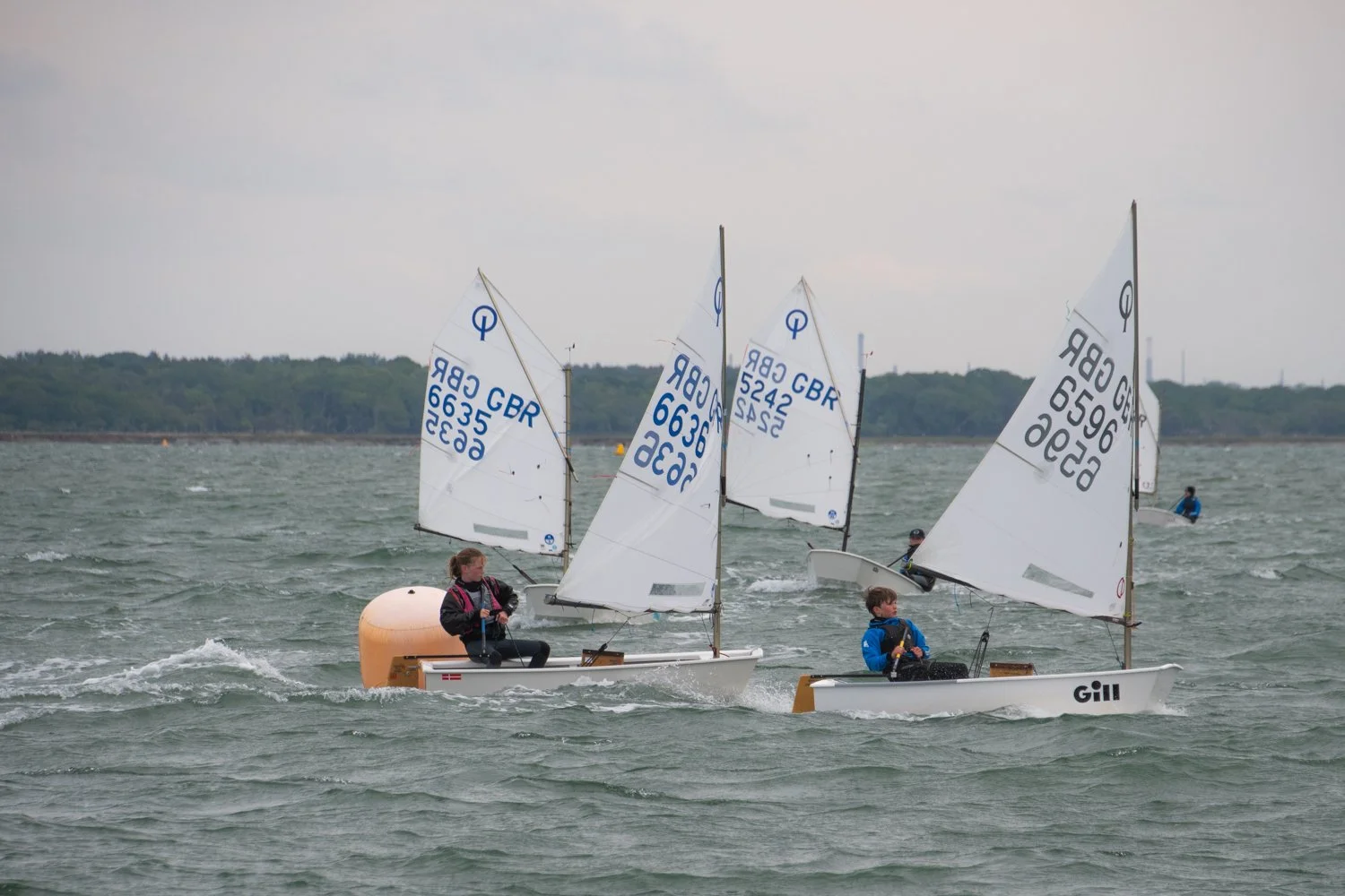 26020510 Optimist_DSC9327.jpg
