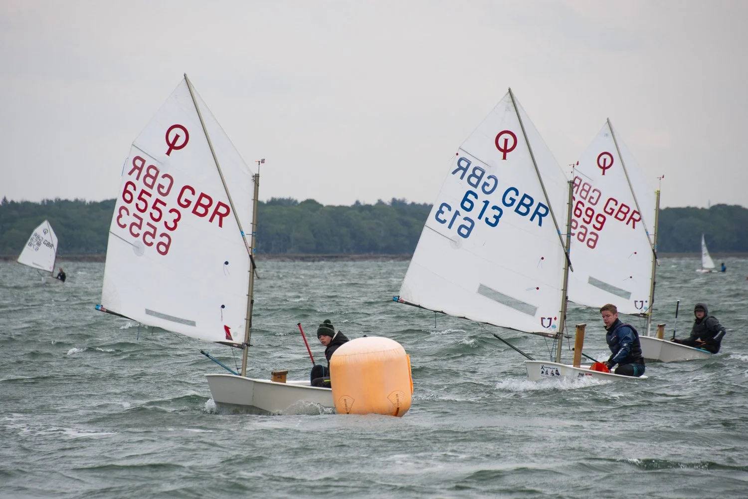 26020510 Optimist_DSC9303.jpg