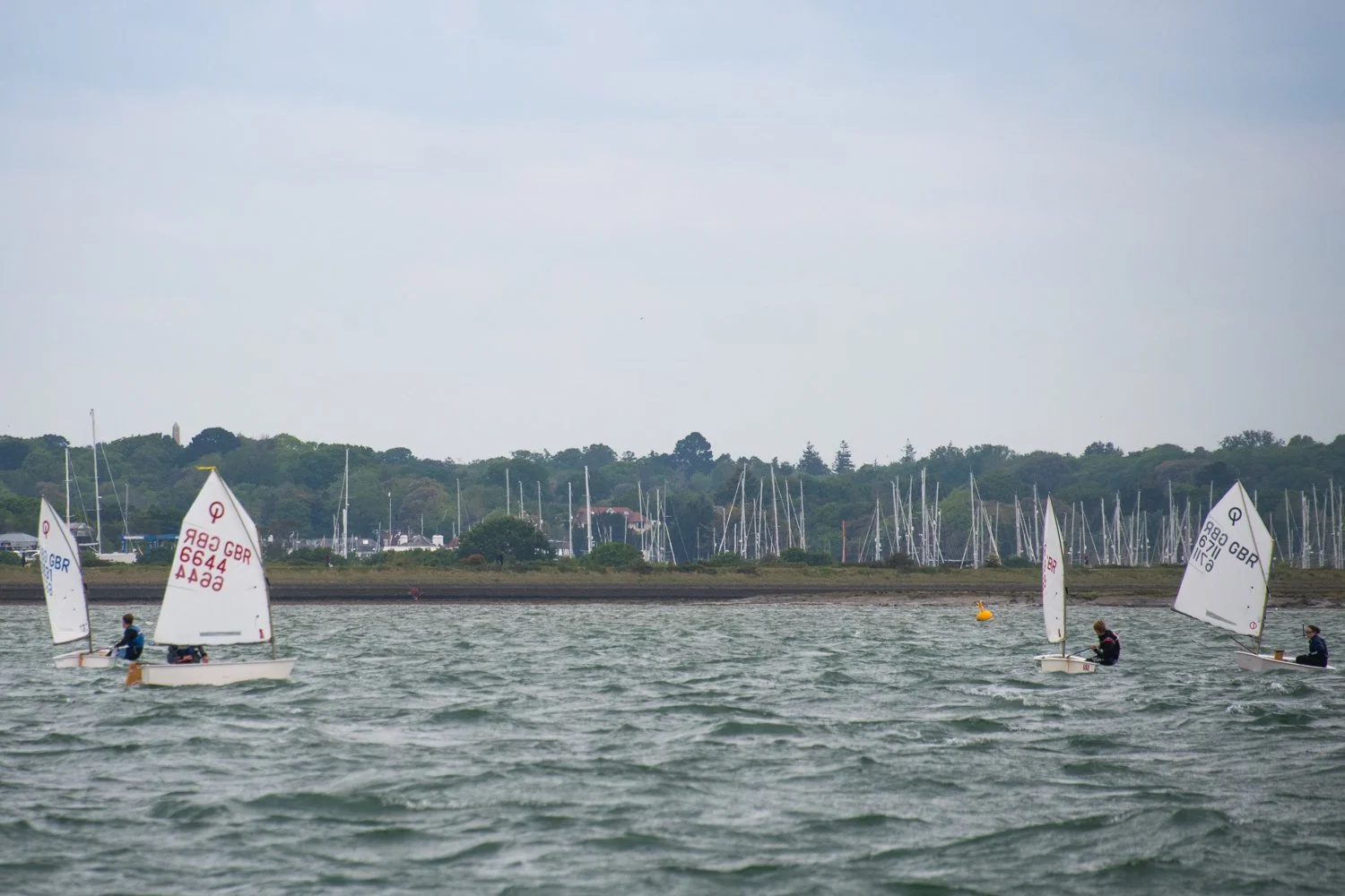 26020510 Optimist_DSC9291.jpg