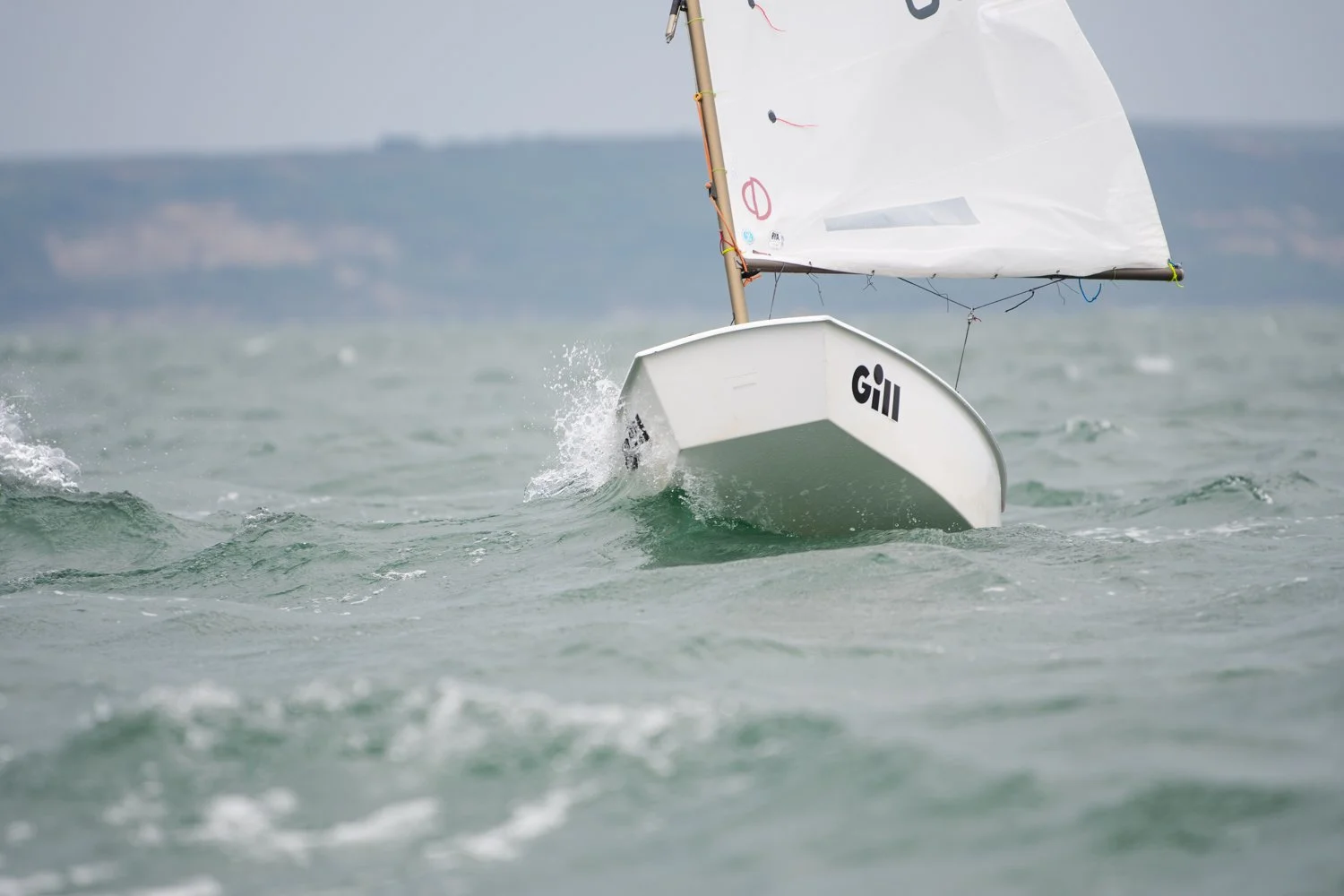 26020510 Optimist_DSC9711.jpg