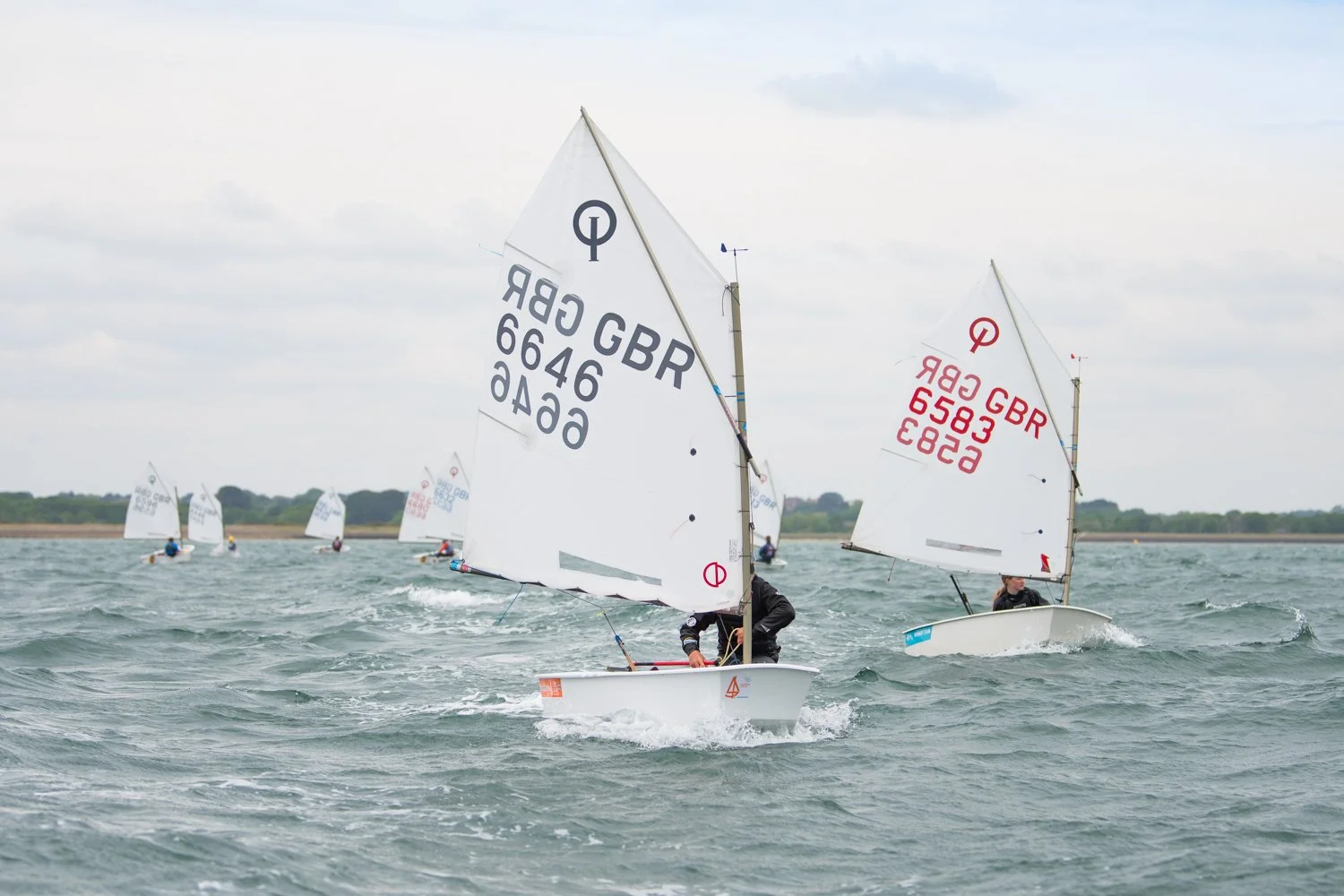 26020510 Optimist_DSC9664.jpg
