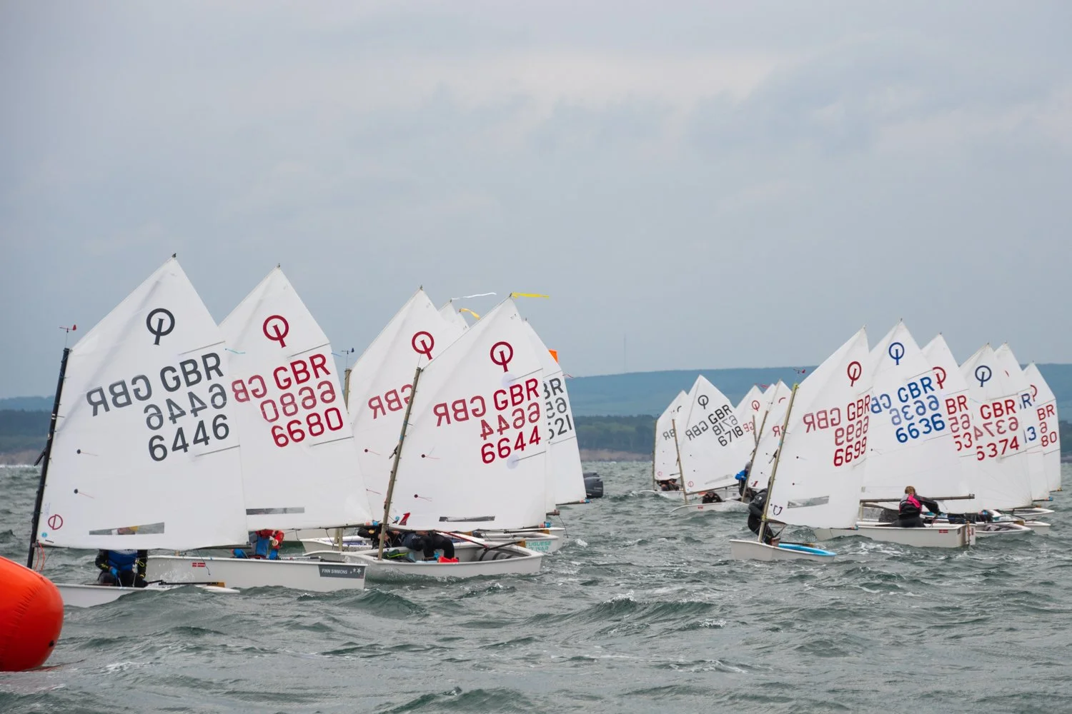 26020510 Optimist_DSC9258.jpg