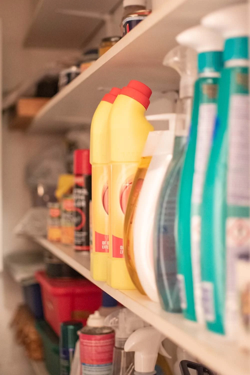 24020523 U3MumDSC_0273.jpg