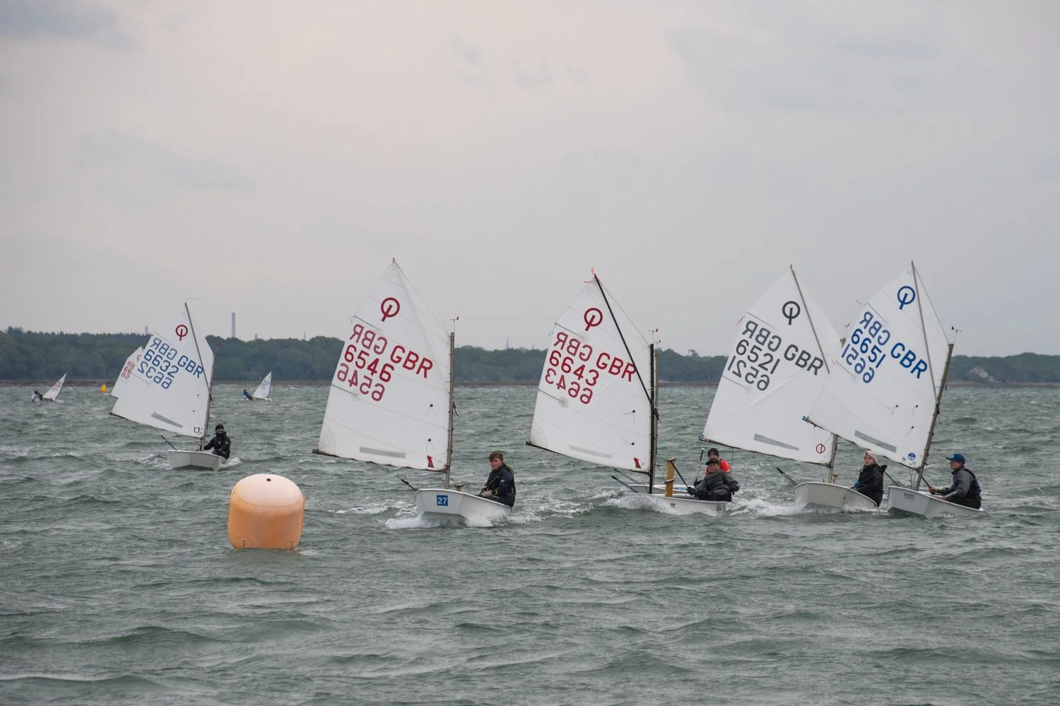 26020510 Optimist_DSC9311.jpg