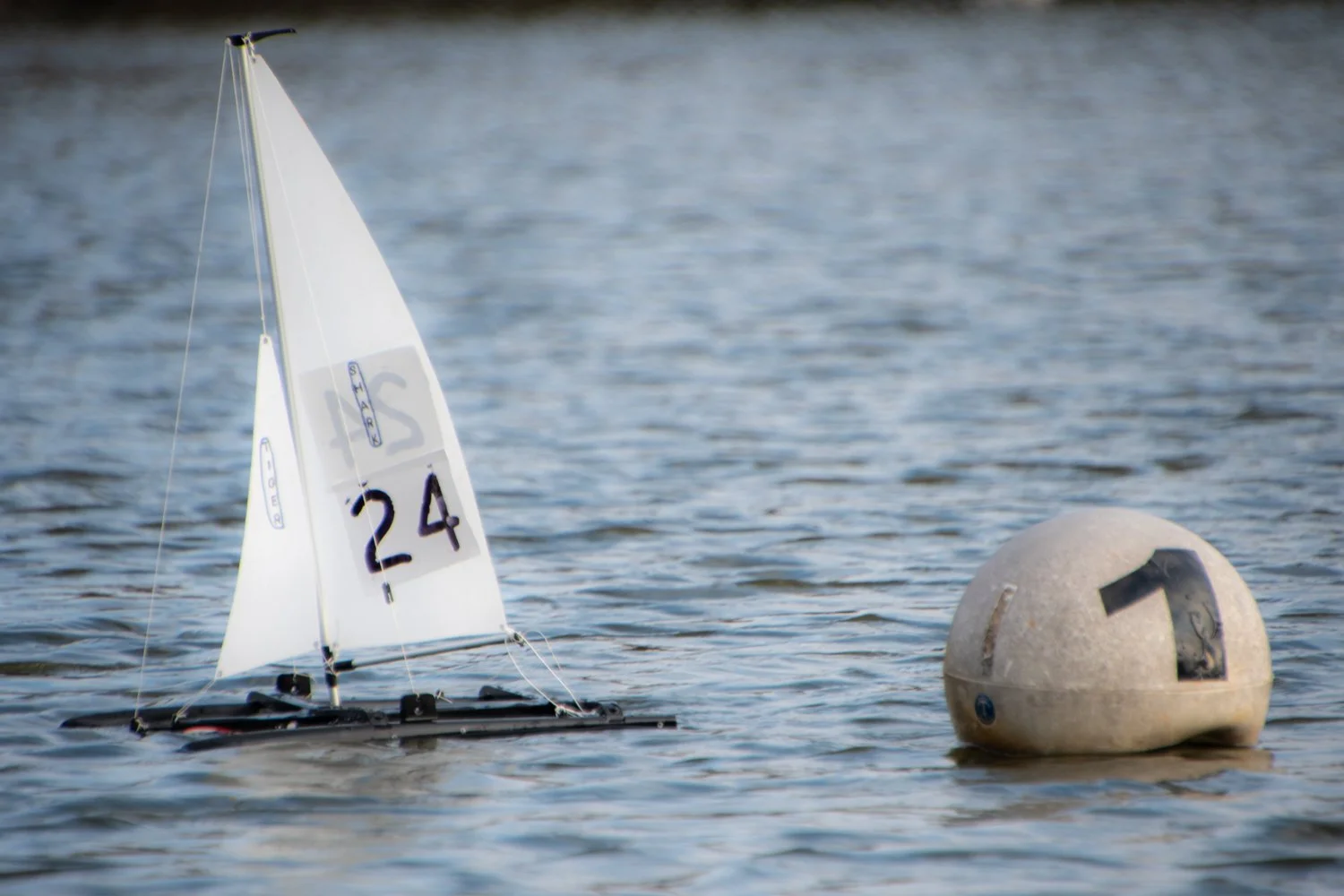 HaywardT-25021226 SetleyTHPAF_7702.jpg