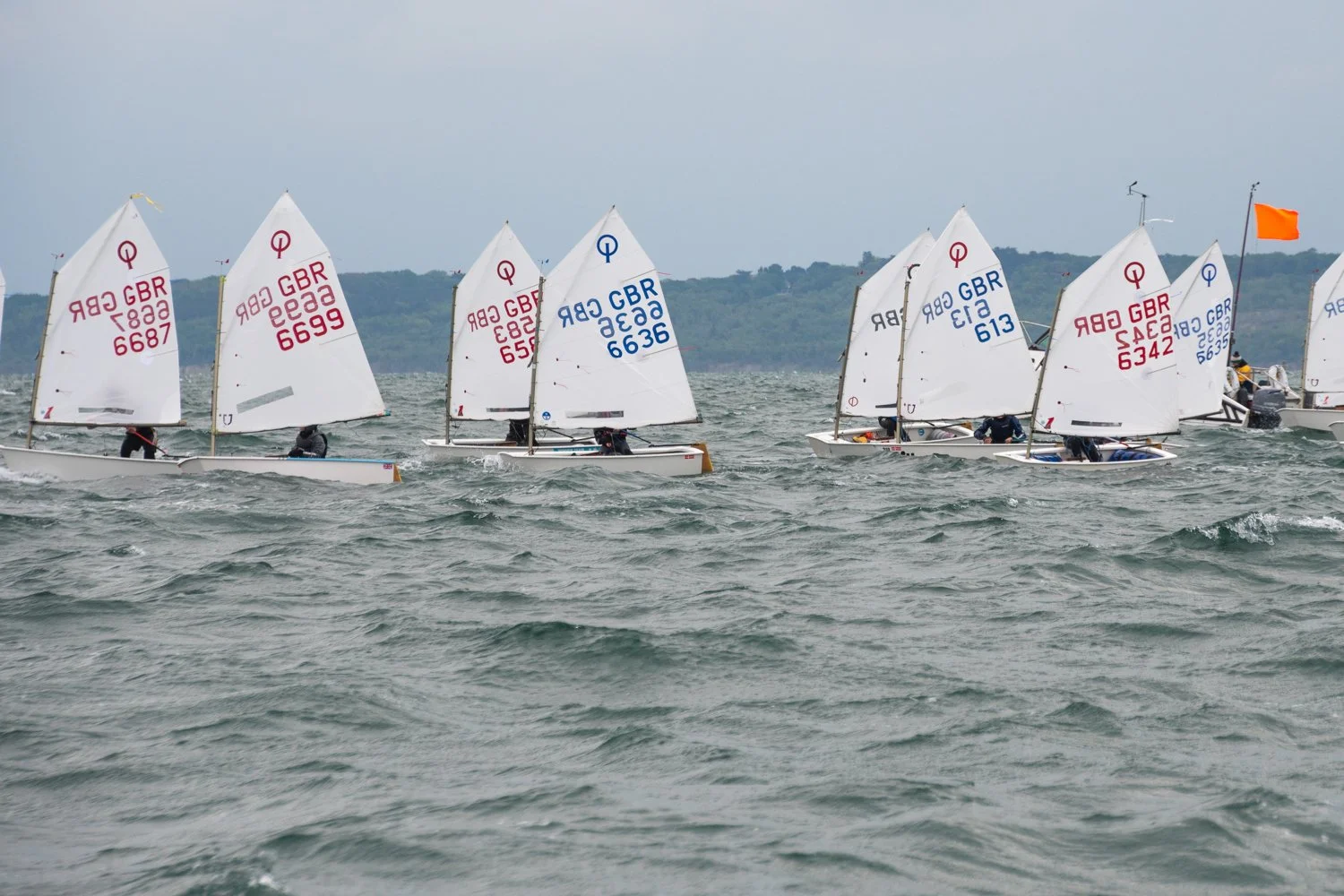 26020510 Optimist_DSC9252.jpg