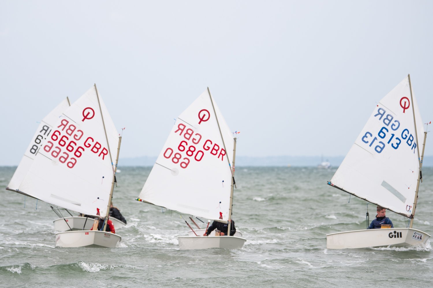 26020510 Optimist_DSC9626.jpg
