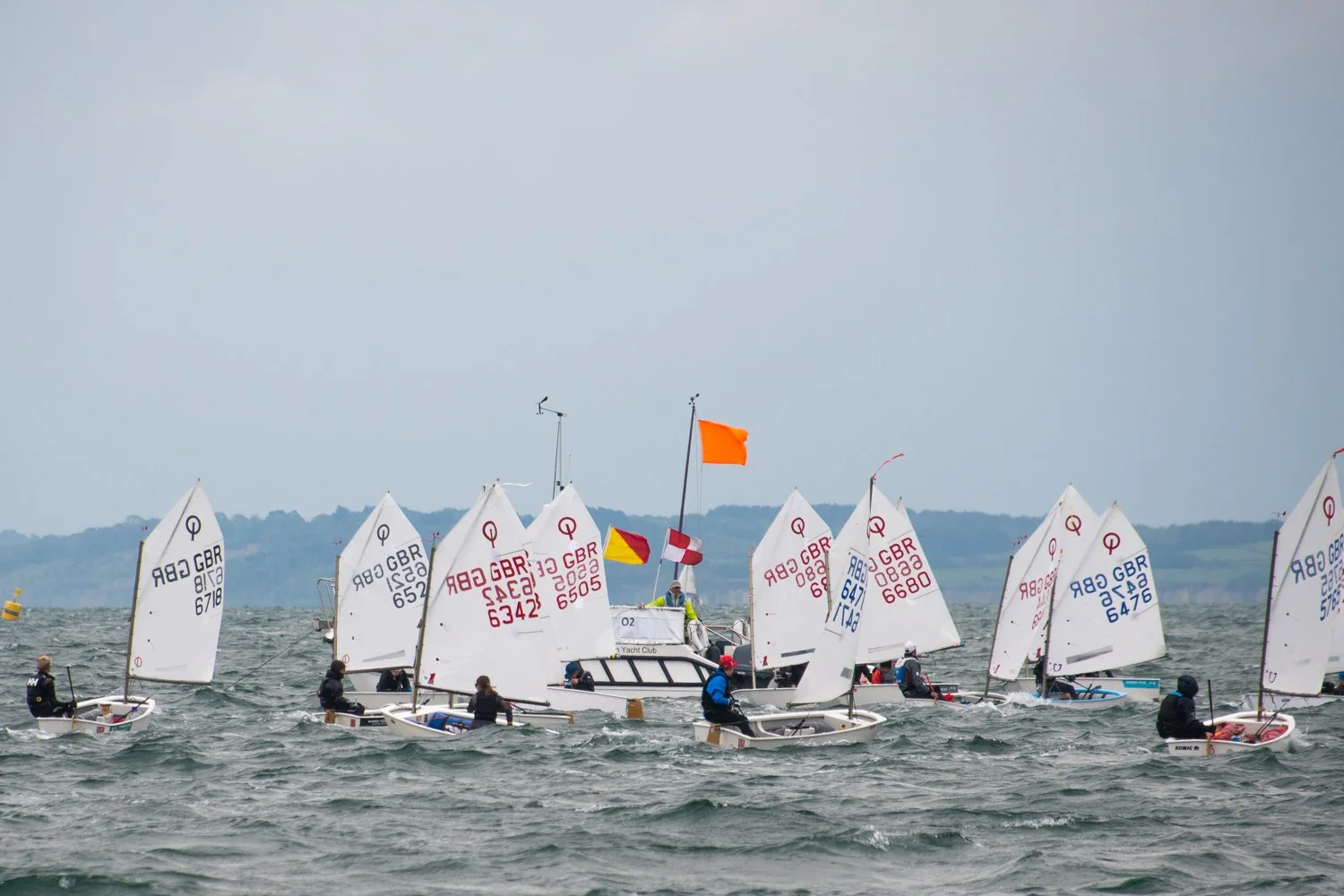 26020510 Optimist_DSC9230.jpg
