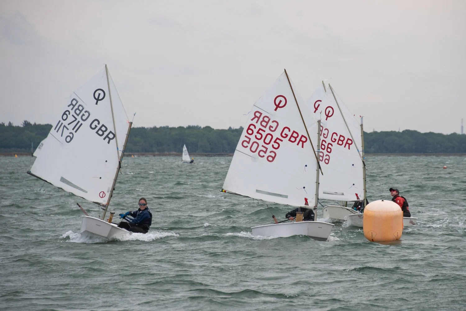 26020510 Optimist_DSC9300.jpg
