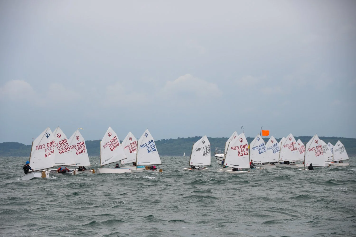 26020510 Optimist_DSC9253.jpg