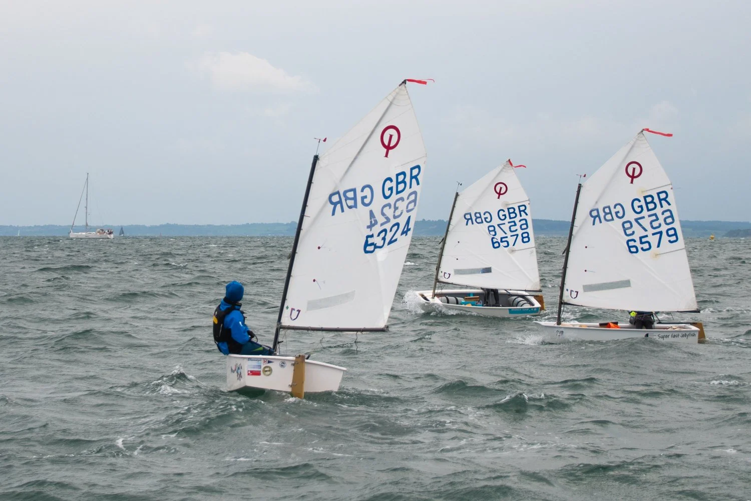 26020510 Optimist_DSC9284.jpg