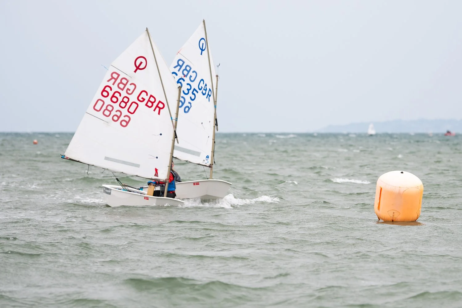 26020510 Optimist_DSC9640.jpg