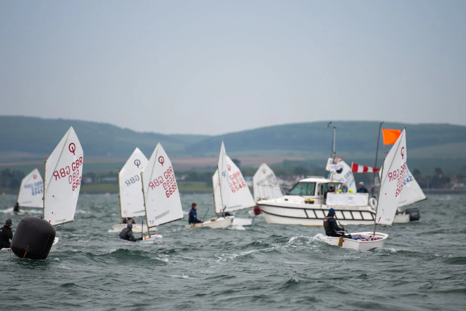 26020510 Optimist_DSC9499.jpg