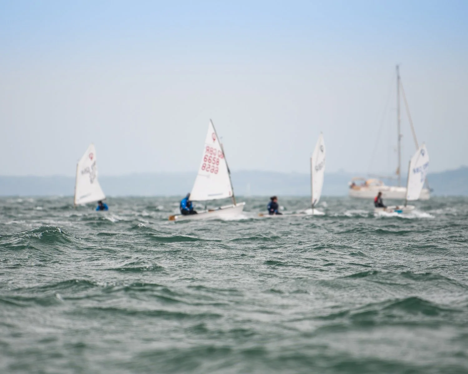 26020510 Optimist_DSC9531.jpg