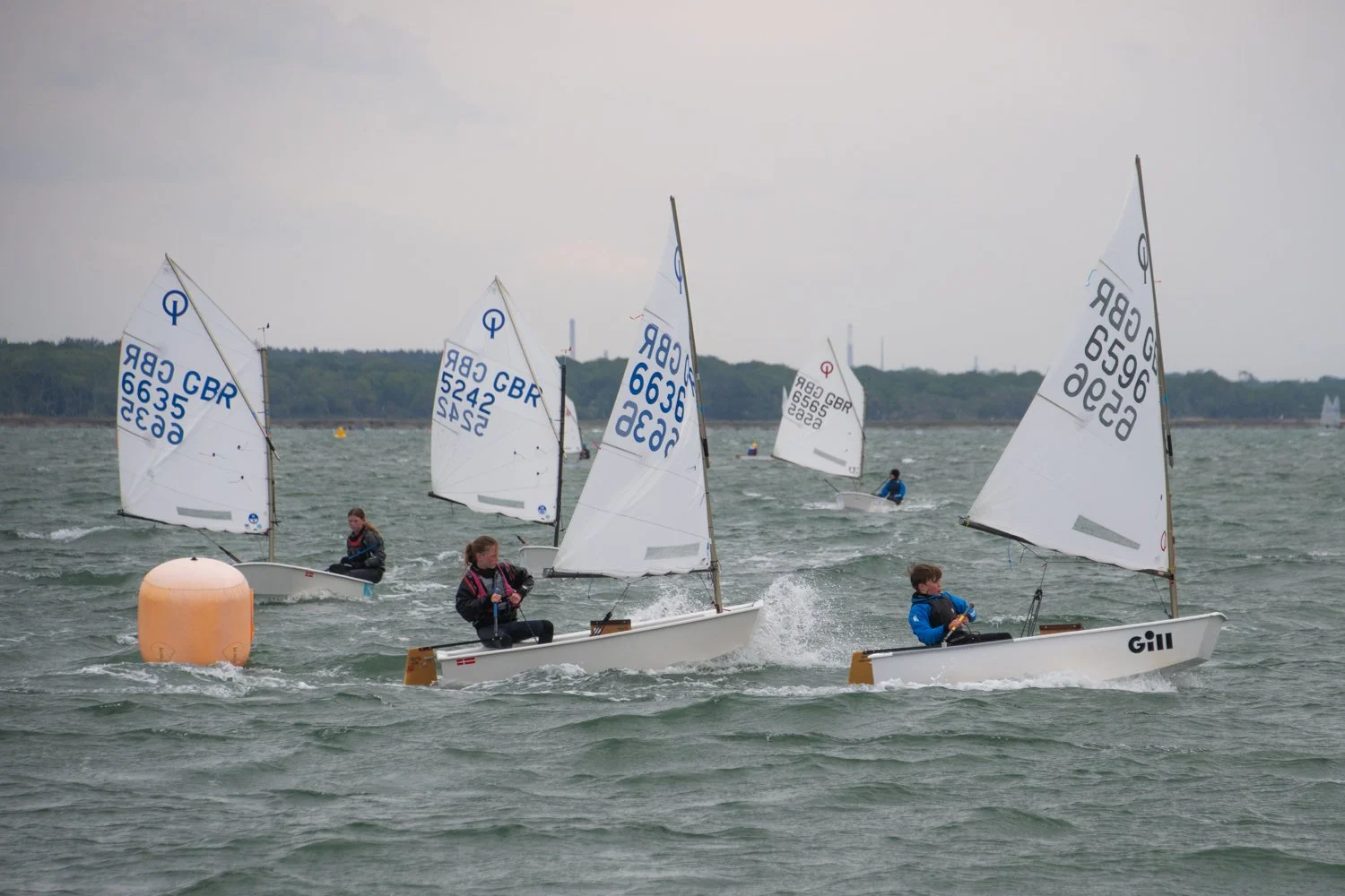 26020510 Optimist_DSC9329.jpg