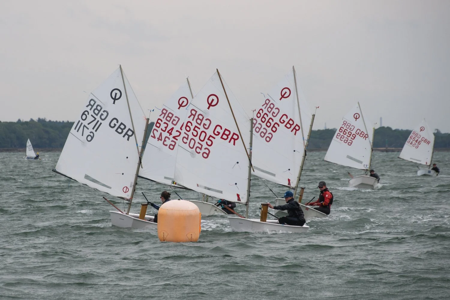 26020510 Optimist_DSC9299.jpg