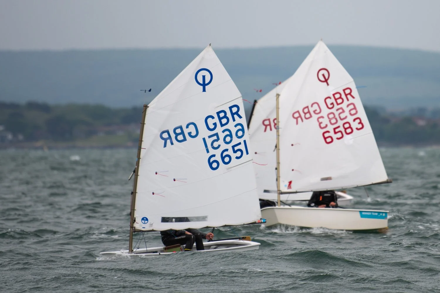 26020510 Optimist_DSC9498.jpg