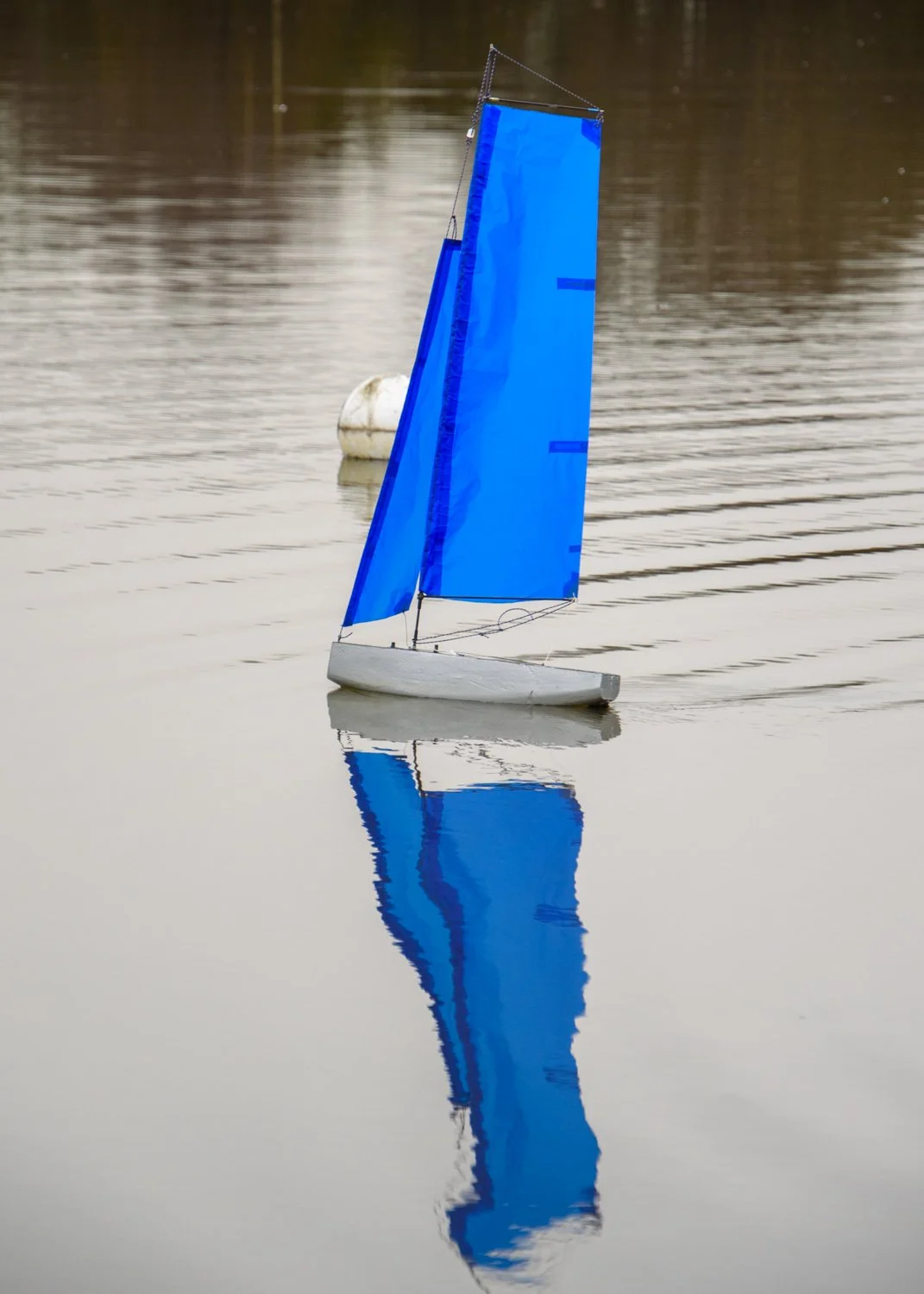 HaywardT-24021226 SetleyTH TH21369.jpg