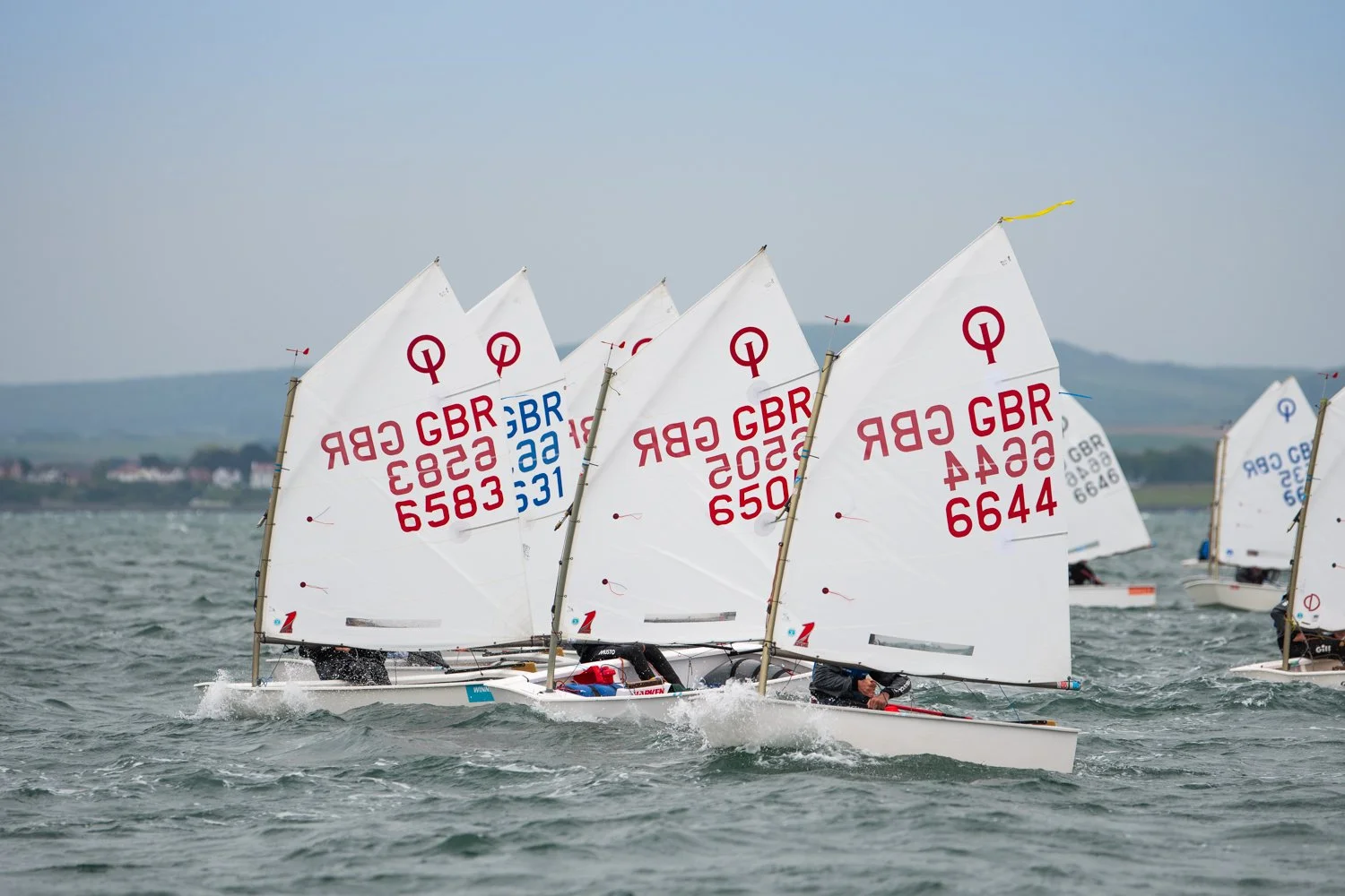 26020510 Optimist_DSC9510.jpg