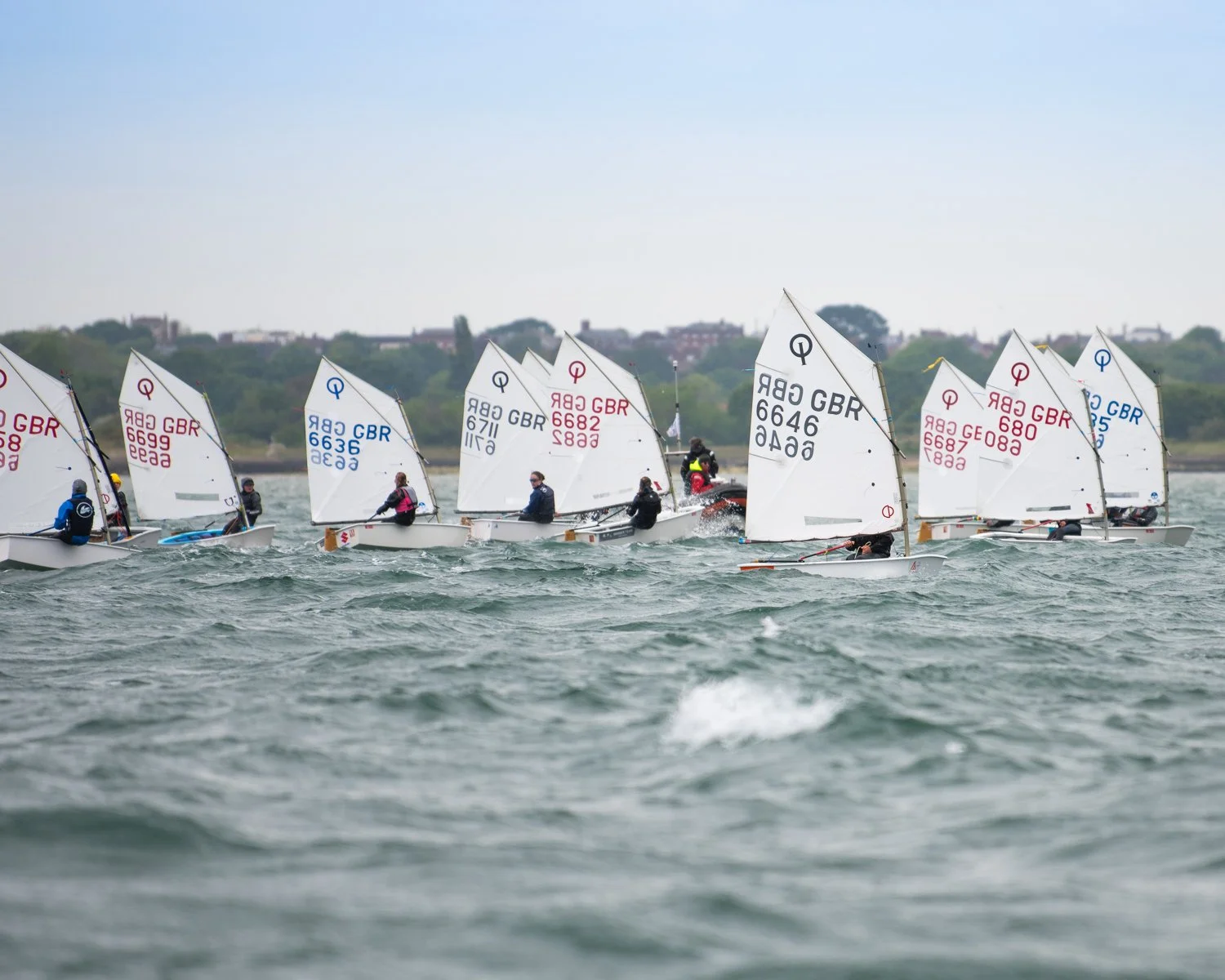 26020510 Optimist_DSC9718.jpg