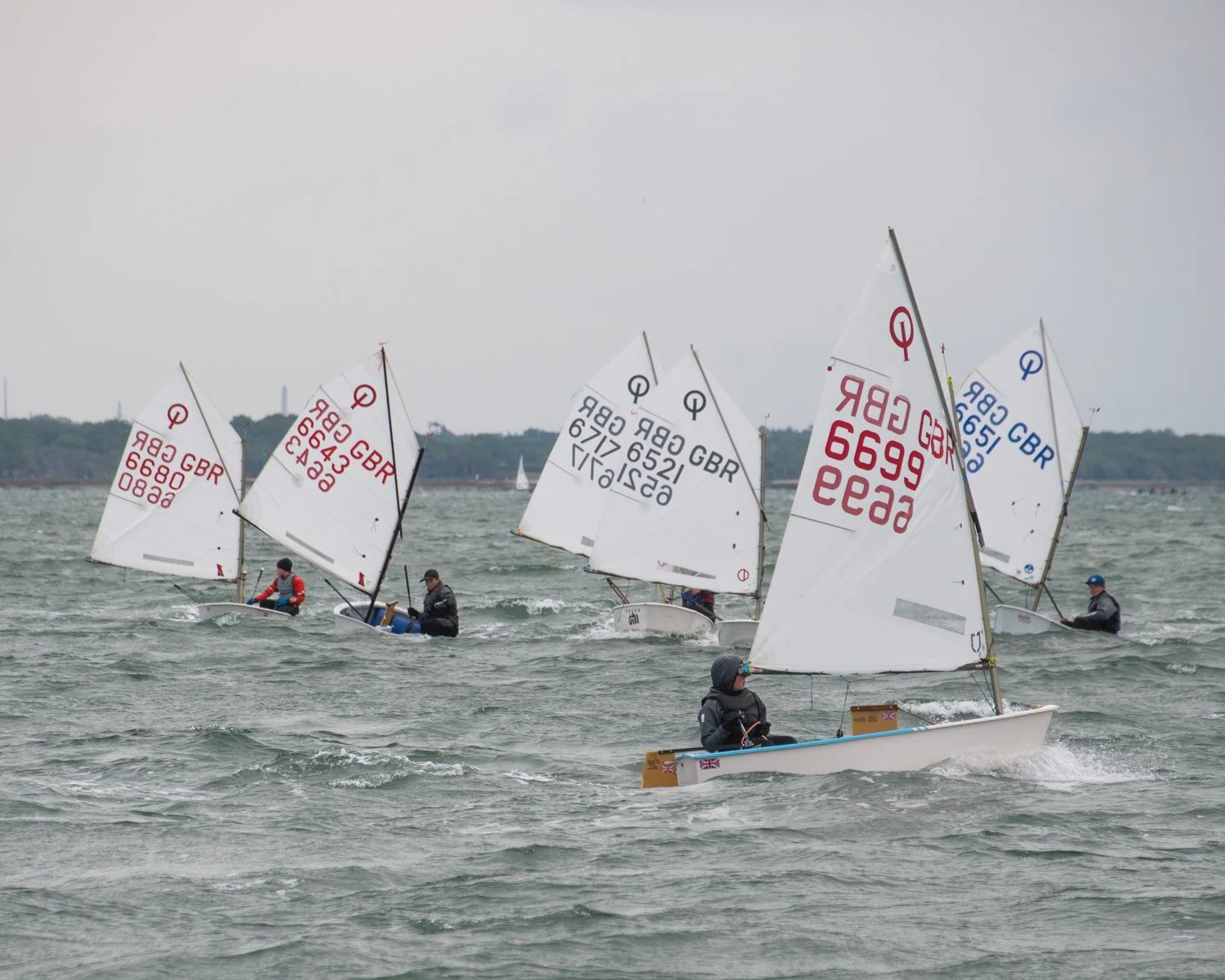 26020510 Optimist_DSC9306.jpg