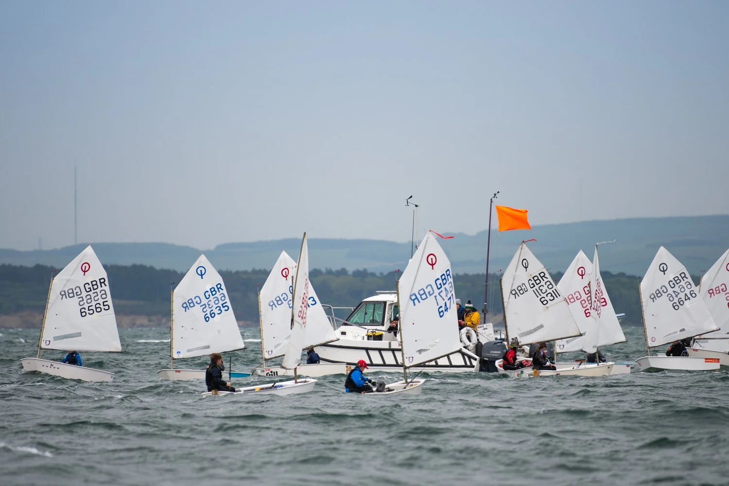 26020510 Optimist_DSC9492.jpg