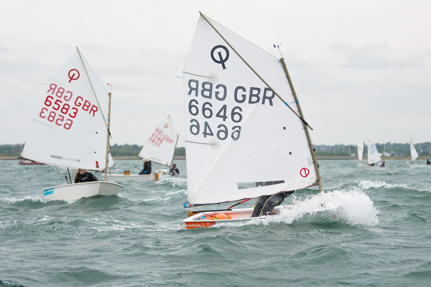 26020510 Optimist_DSC9667.jpg