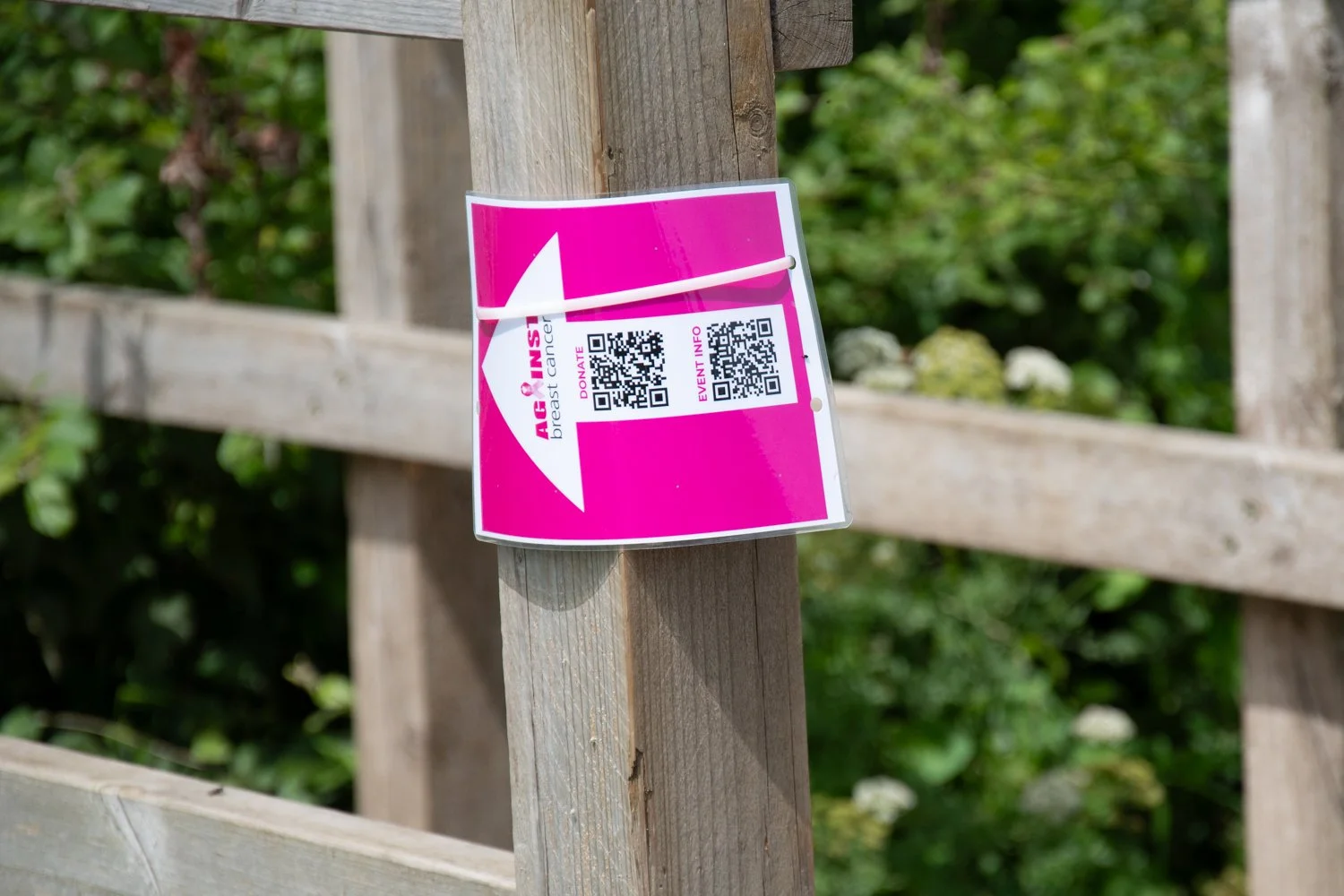 HaywardT-26020614 AgainstBreastCancer_DSC0198.jpg