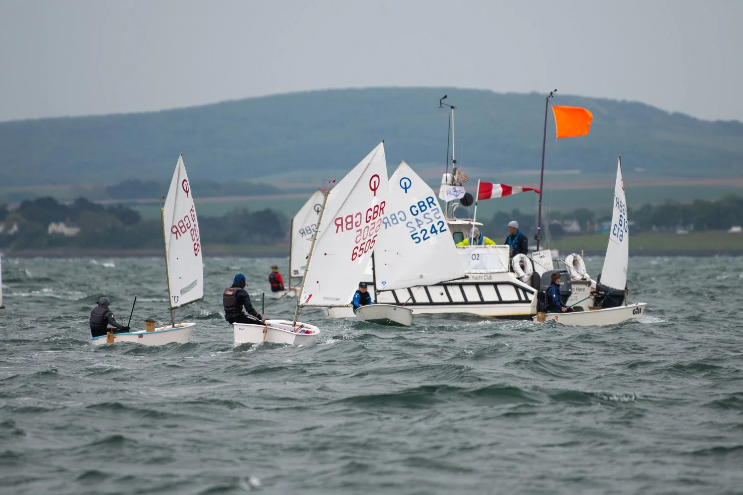 26020510 Optimist_DSC9502.jpg