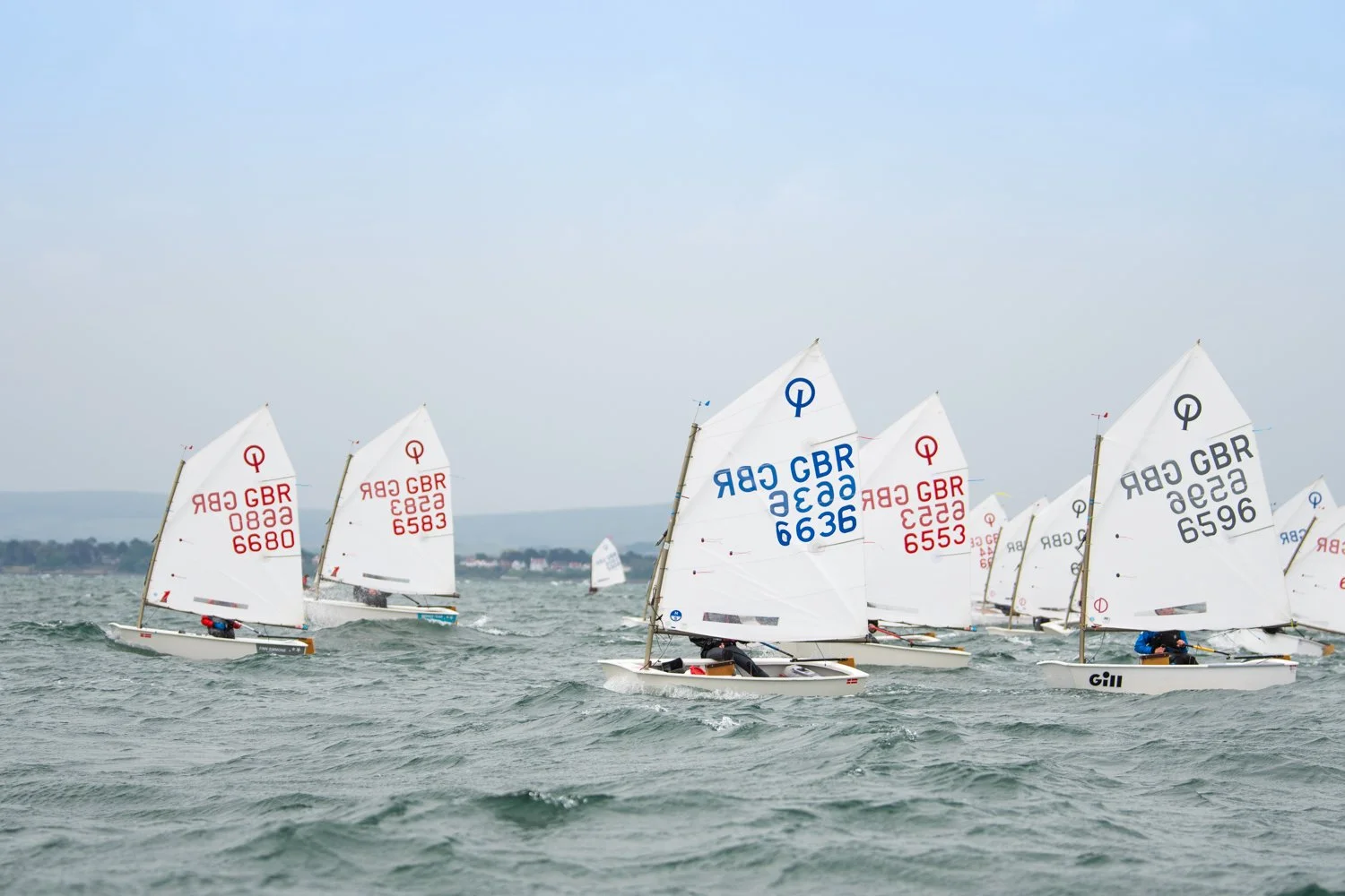 26020510 Optimist_DSC9550.jpg