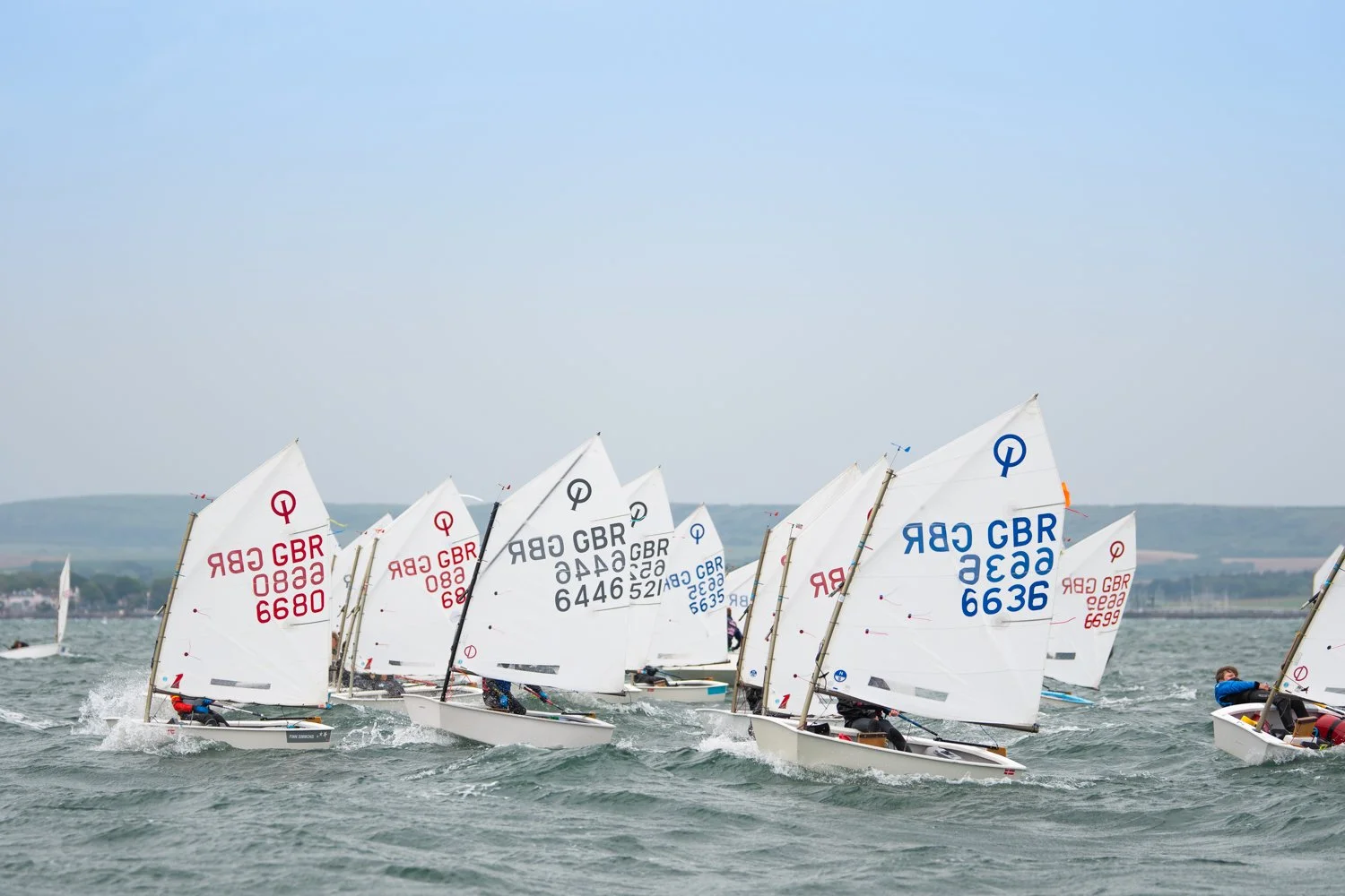 26020510 Optimist_DSC9546.jpg